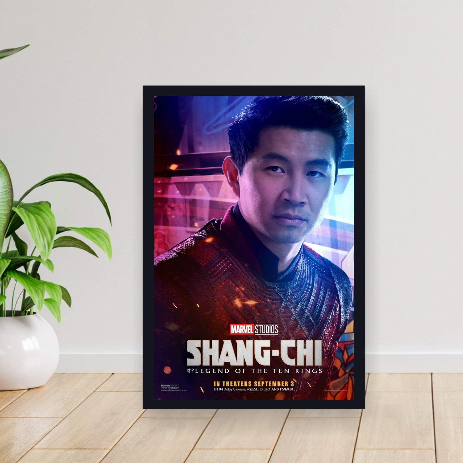 Cuadro 30x40cm Peli - shangchi and the legend of the 10 ri 003