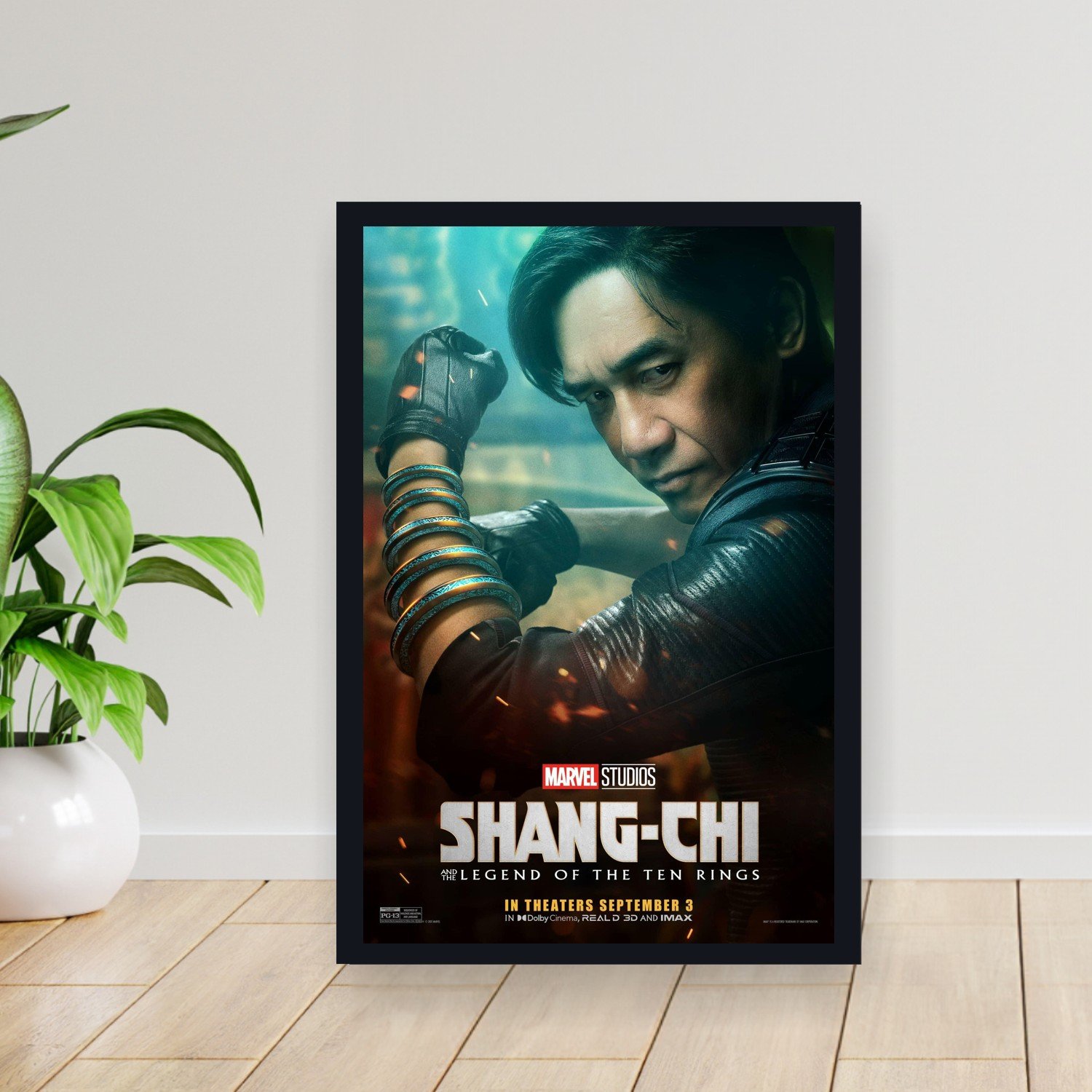 Cuadro 30x40cm Peli - shangchi and the legend of the 10 ri 004