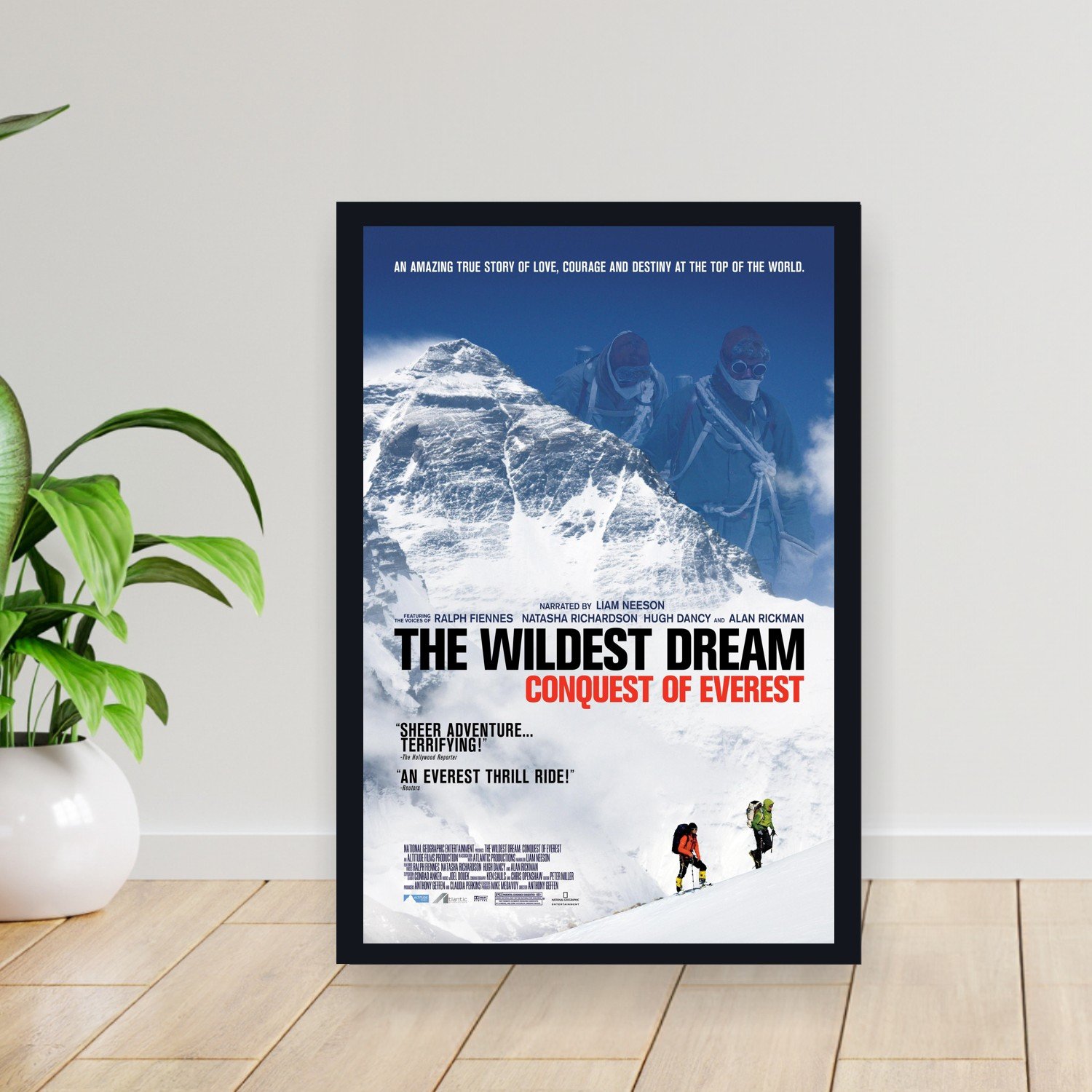 Cuadro 30x40cm Pelicula - wildest dream