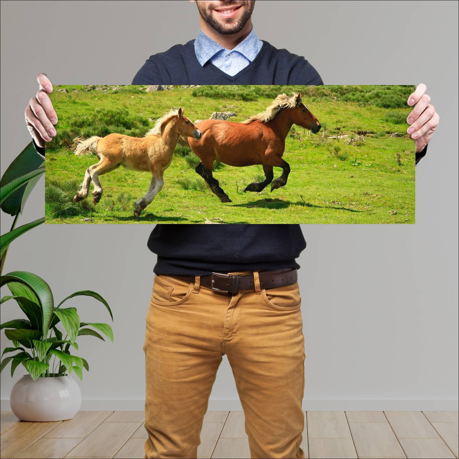 Cuadro grande 30x80cm caballos YCB-028 Naturaleza