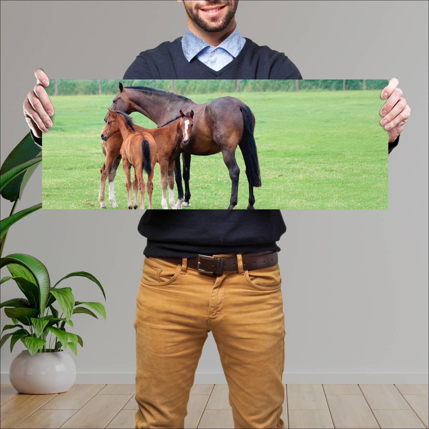 Cuadro grande 30x80cm caballos YCB-037 Naturaleza