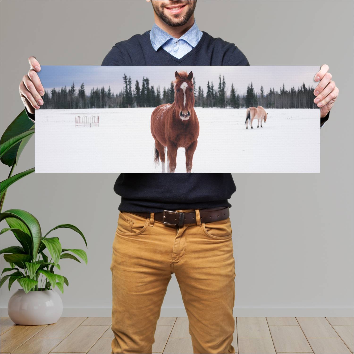 Cuadro grande 30x80cm caballos YCB-039 Naturaleza