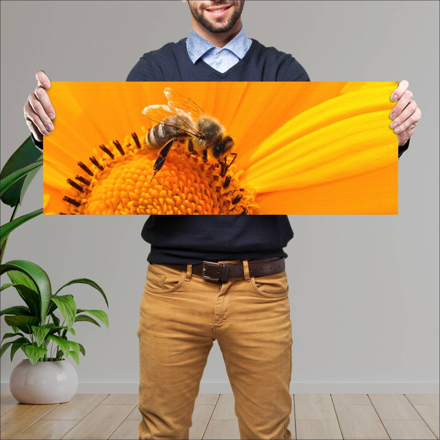 Cuadro grande 30x80cm insectos YIS-001 Naturaleza