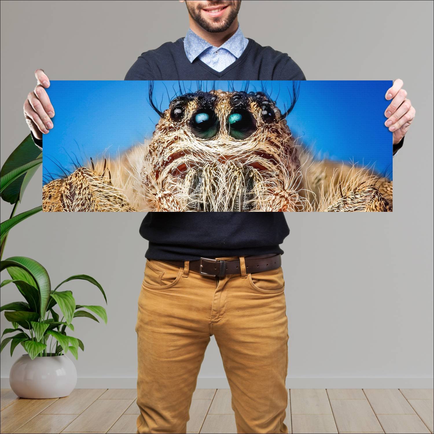 Cuadro grande 30x80cm insectos YIS-002 Naturaleza