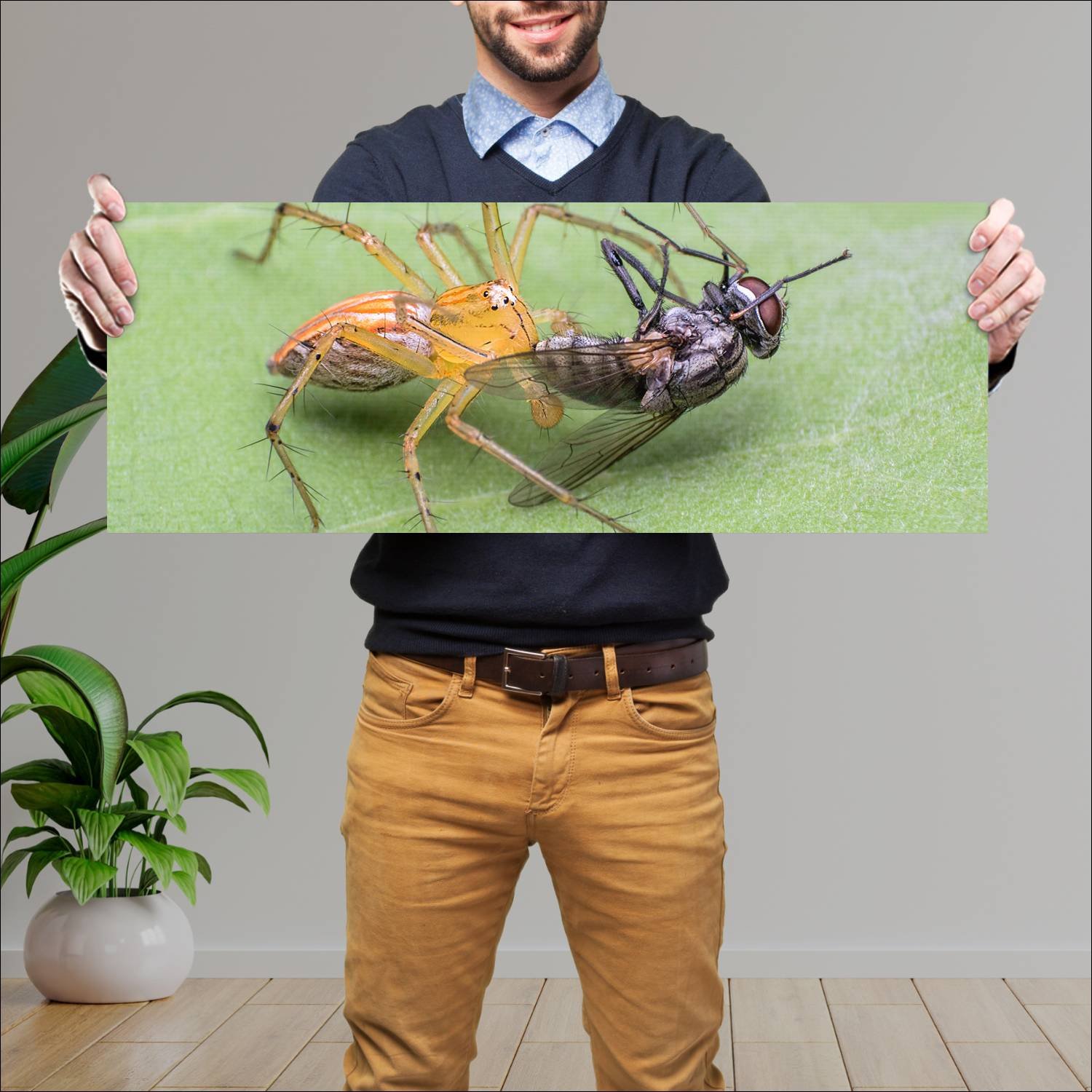 Cuadro grande 30x80cm insectos YIS-003 Naturaleza