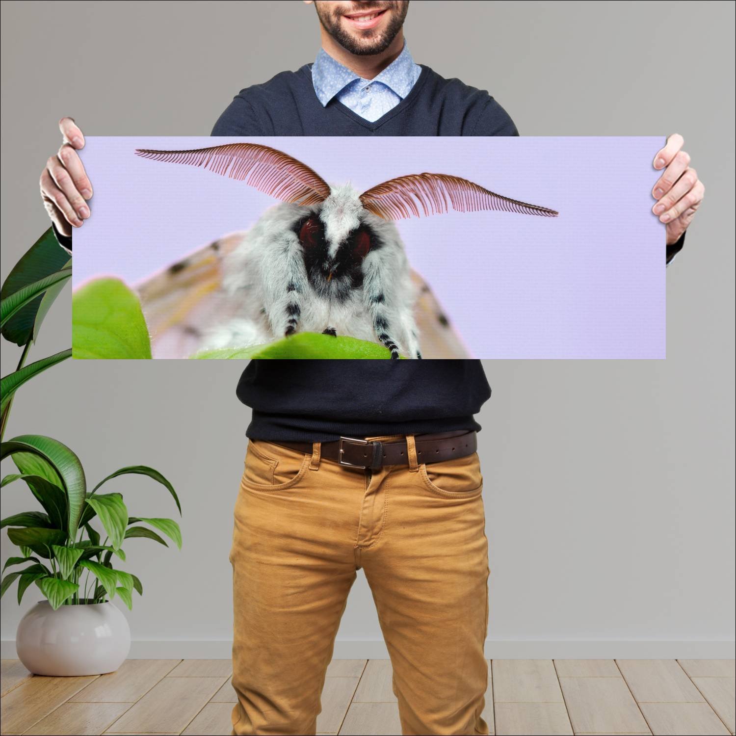 Cuadro grande 30x80cm insectos YIS-006 Naturaleza