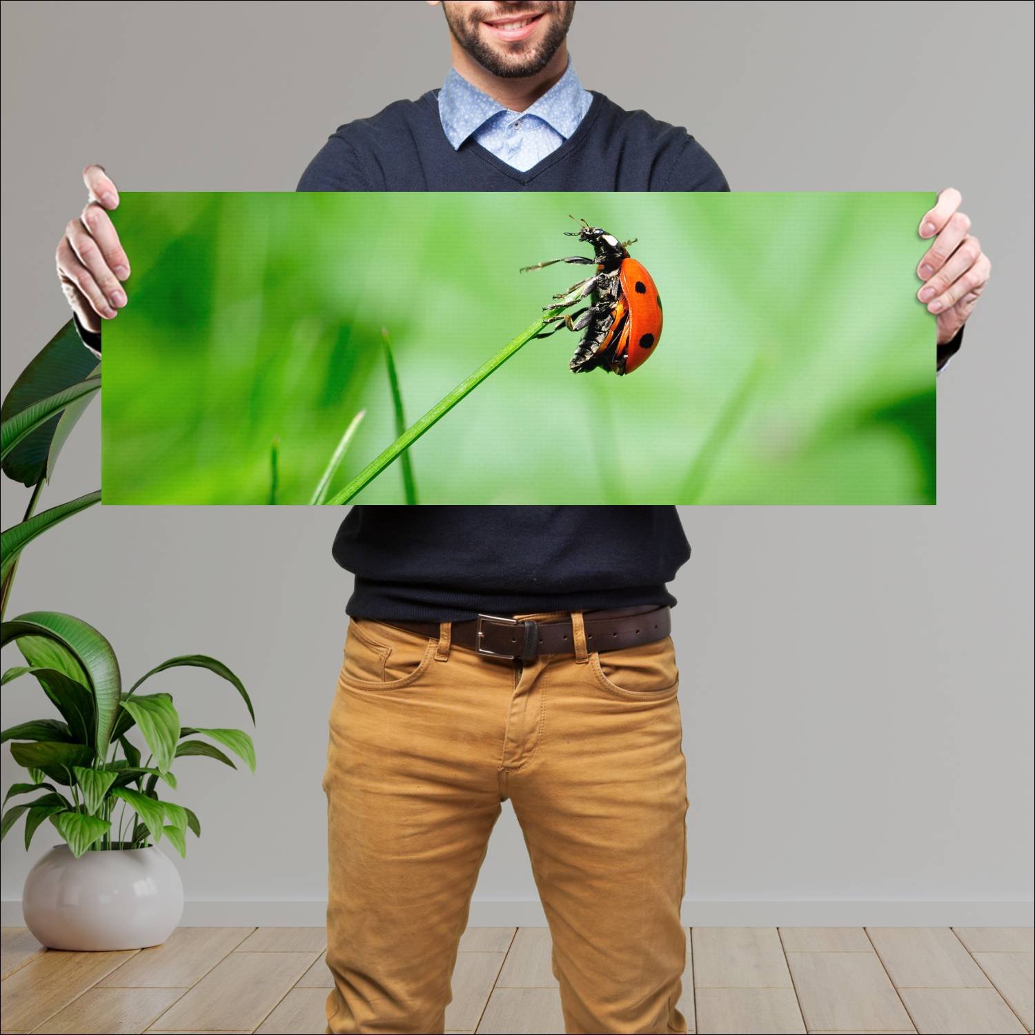 Cuadro grande 30x80cm insectos YIS-009 Naturaleza