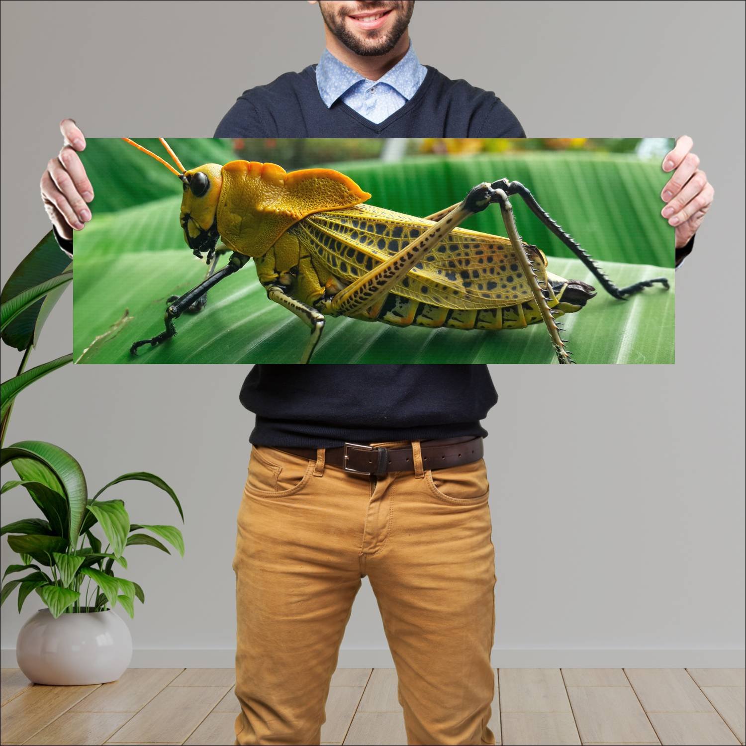 Cuadro grande 30x80cm insectos YIS-011 Naturaleza