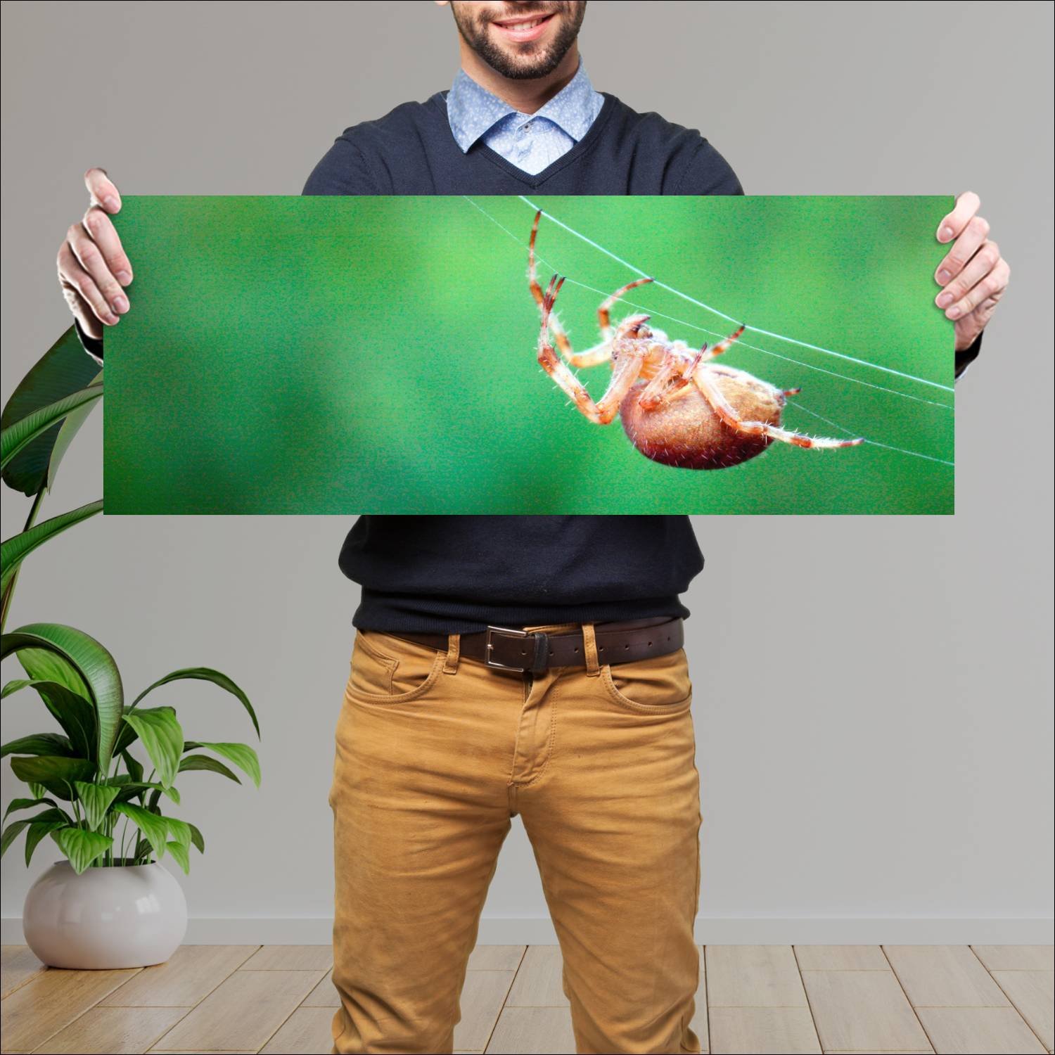 Cuadro grande 30x80cm insectos YIS-013 Naturaleza