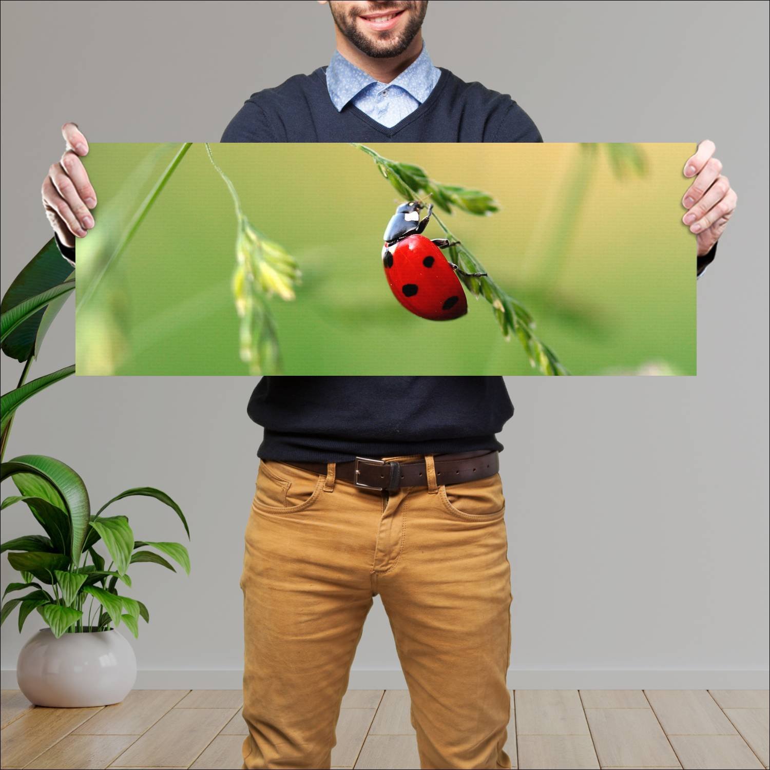 Cuadro grande 30x80cm insectos YIS-015 Naturaleza