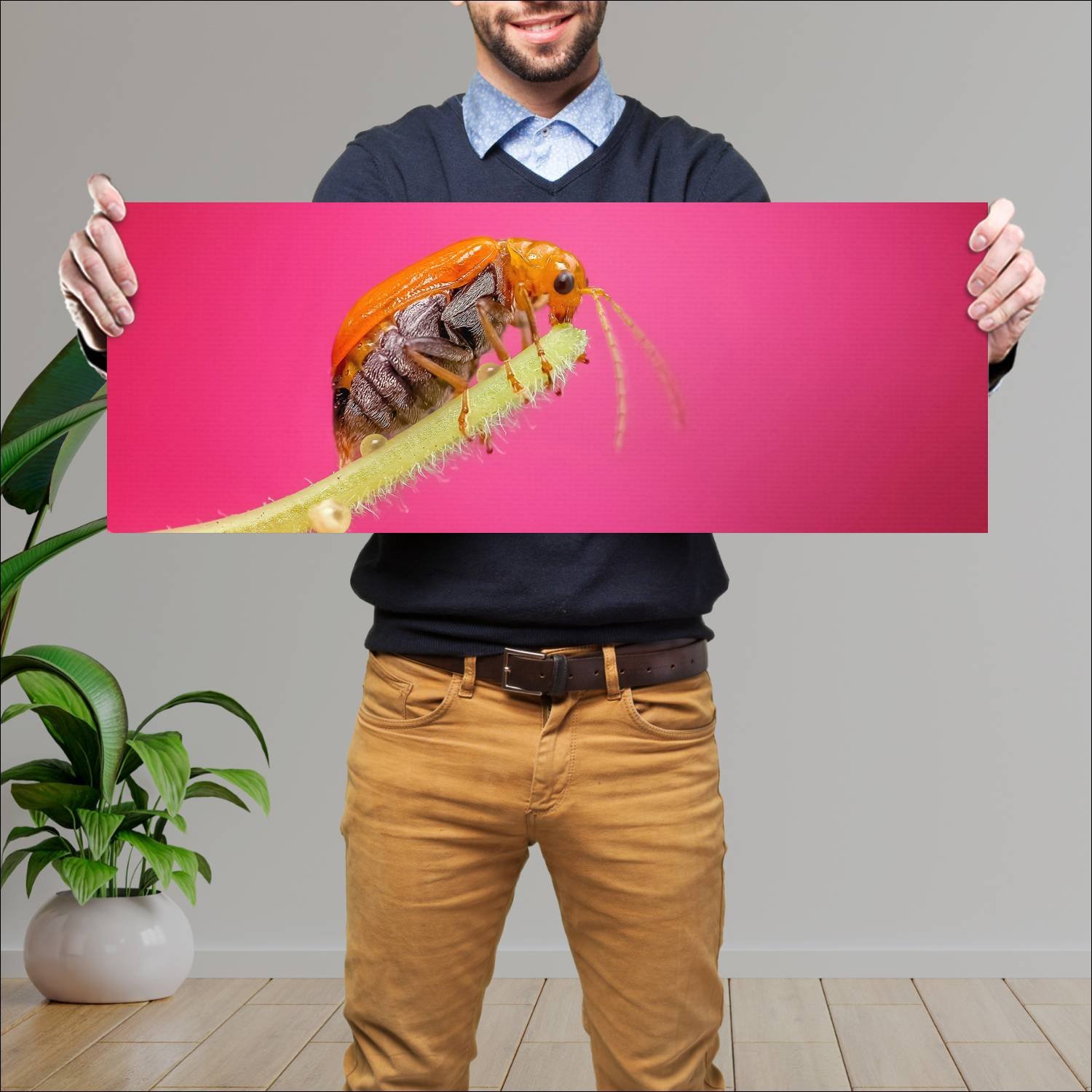 Cuadro grande 30x80cm insectos YIS-016 Naturaleza