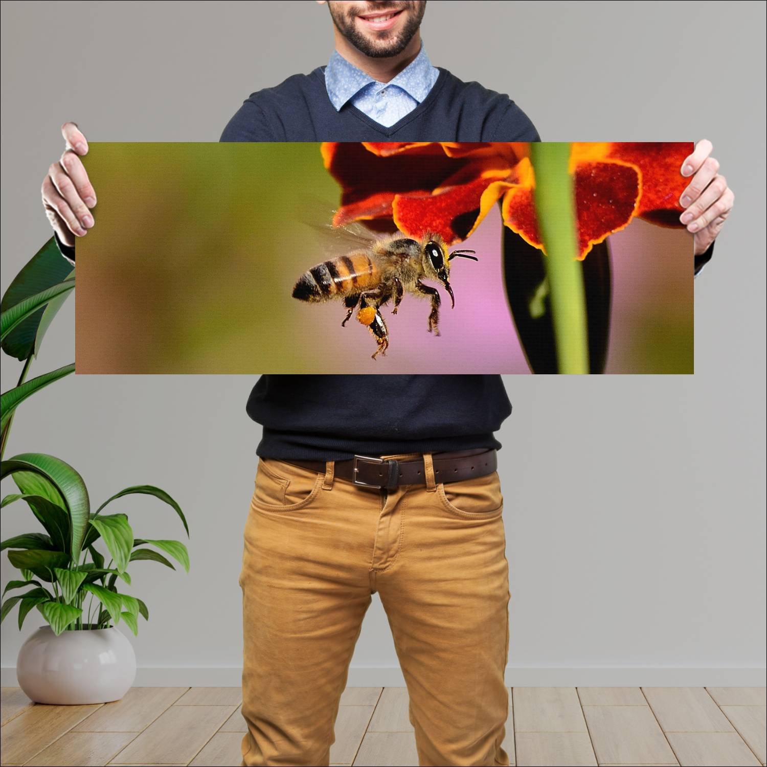 Cuadro grande 30x80cm insectos YIS-022 Naturaleza