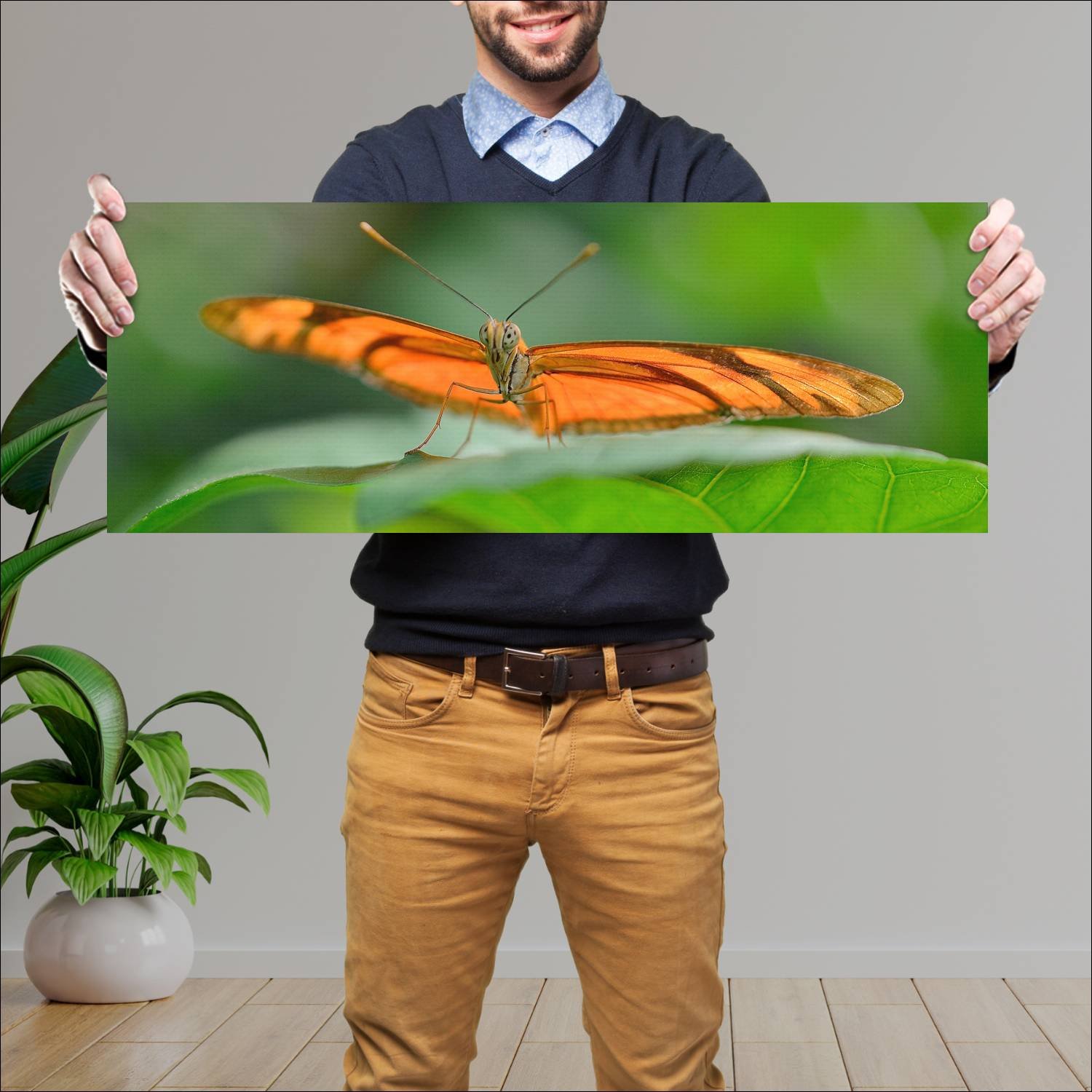 Cuadro grande 30x80cm insectos YIS-024 Naturaleza
