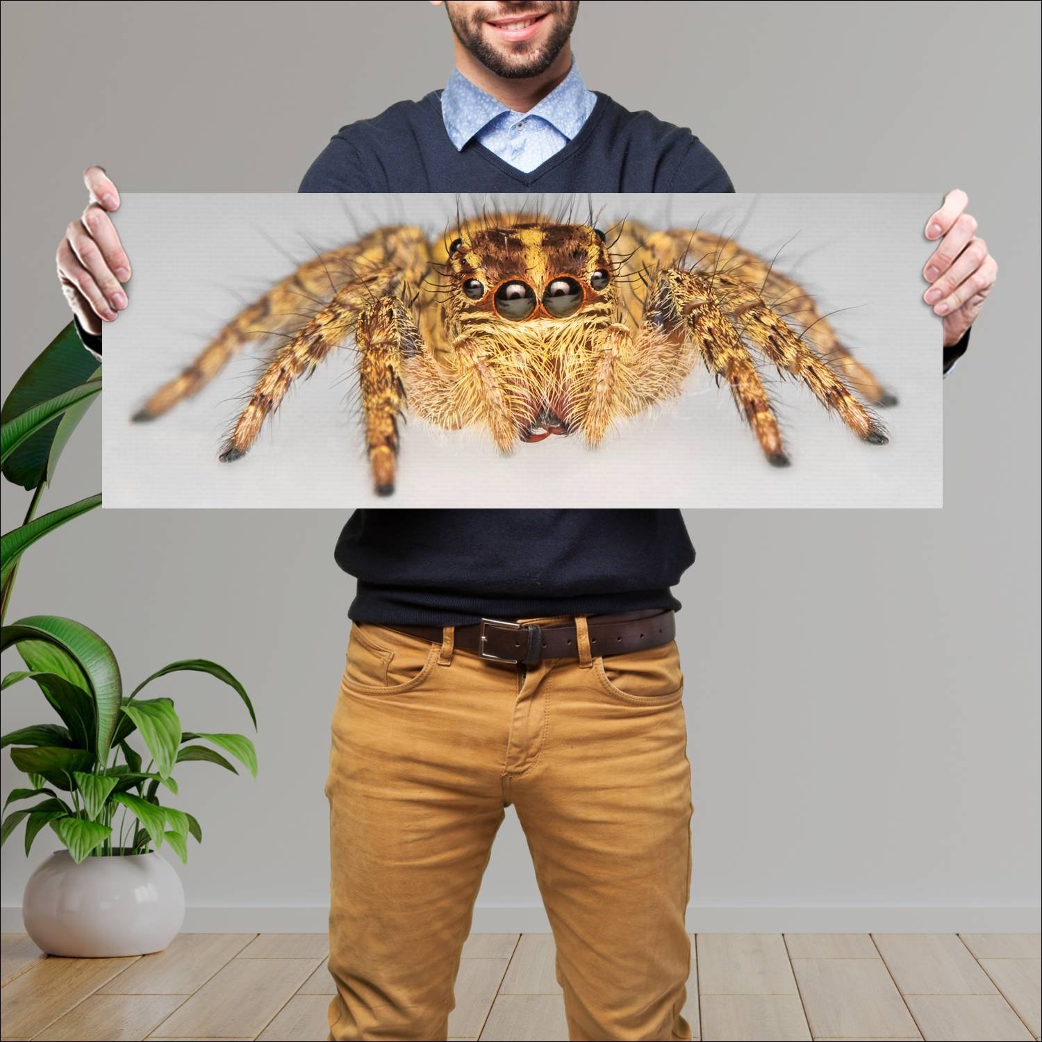 Cuadro grande 30x80cm insectos YIS-025 Naturaleza