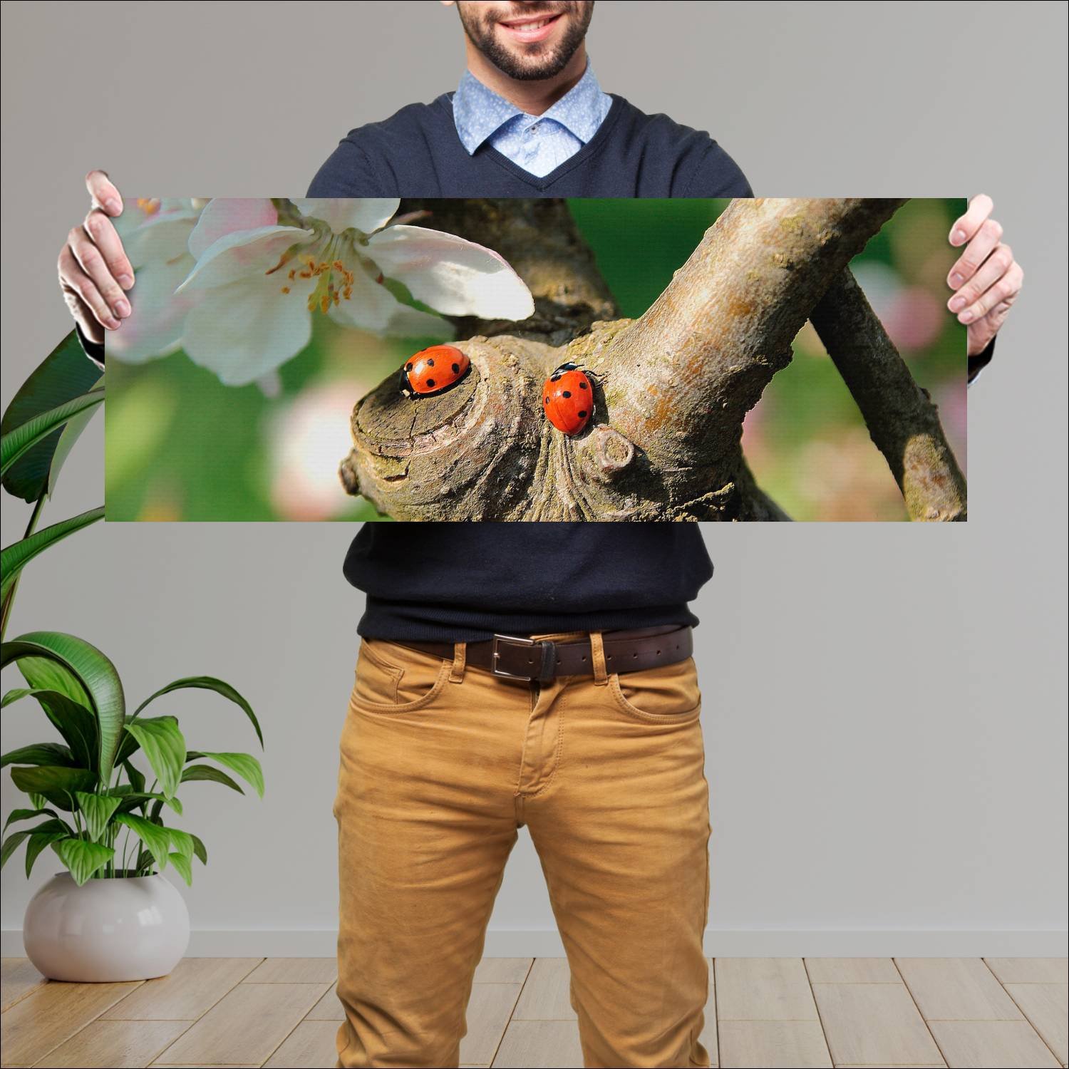Cuadro grande 30x80cm insectos YIS-031 Naturaleza