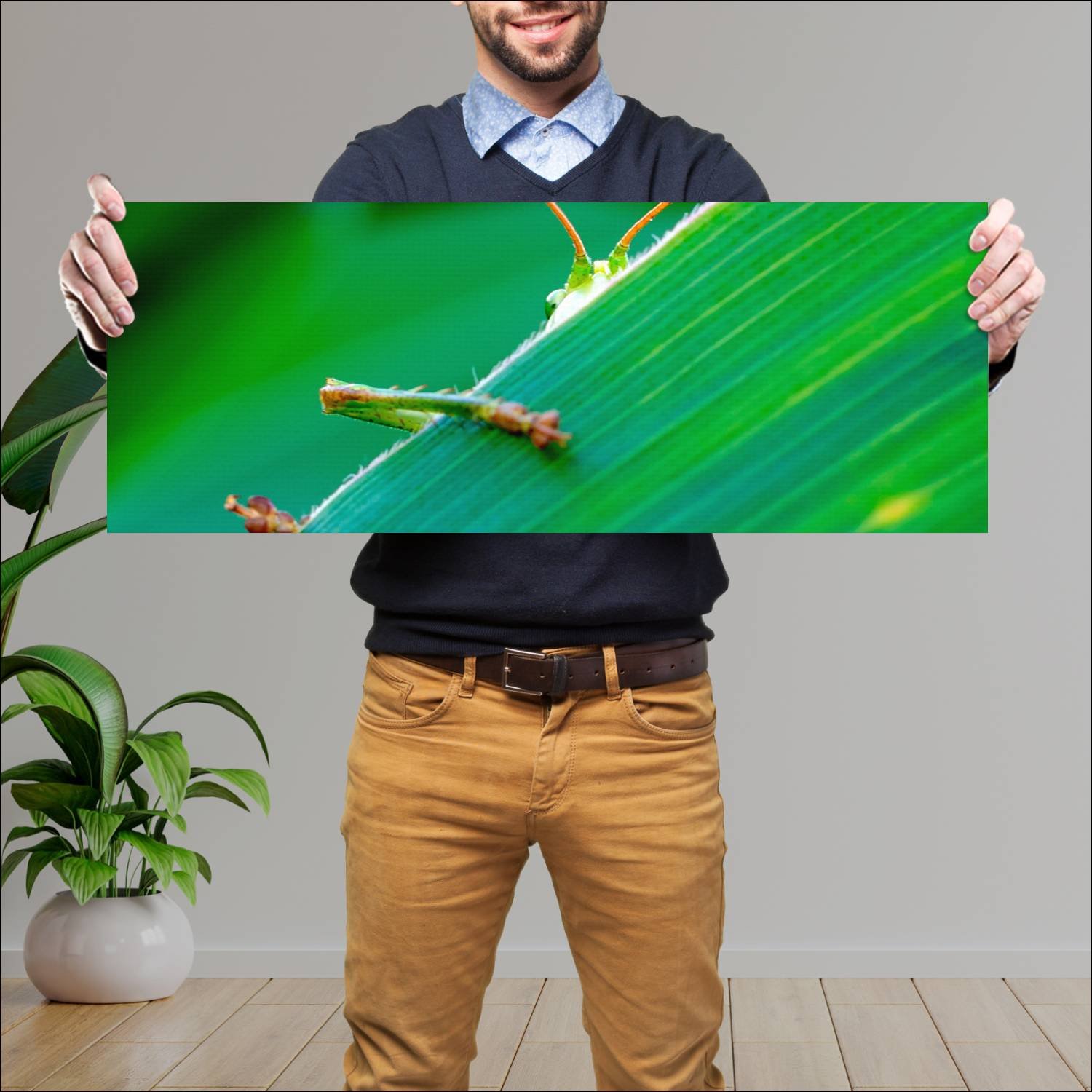 Cuadro grande 30x80cm insectos YIS-032 Naturaleza