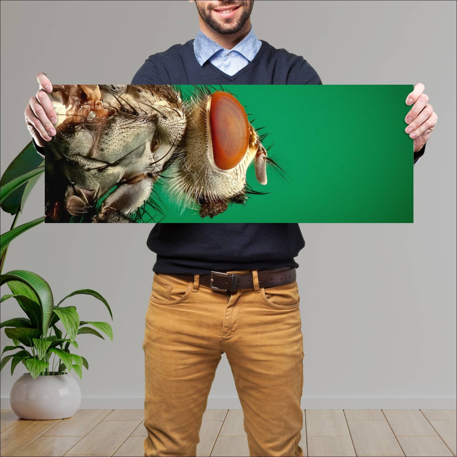 Cuadro grande 30x80cm insectos YIS-050 Naturaleza