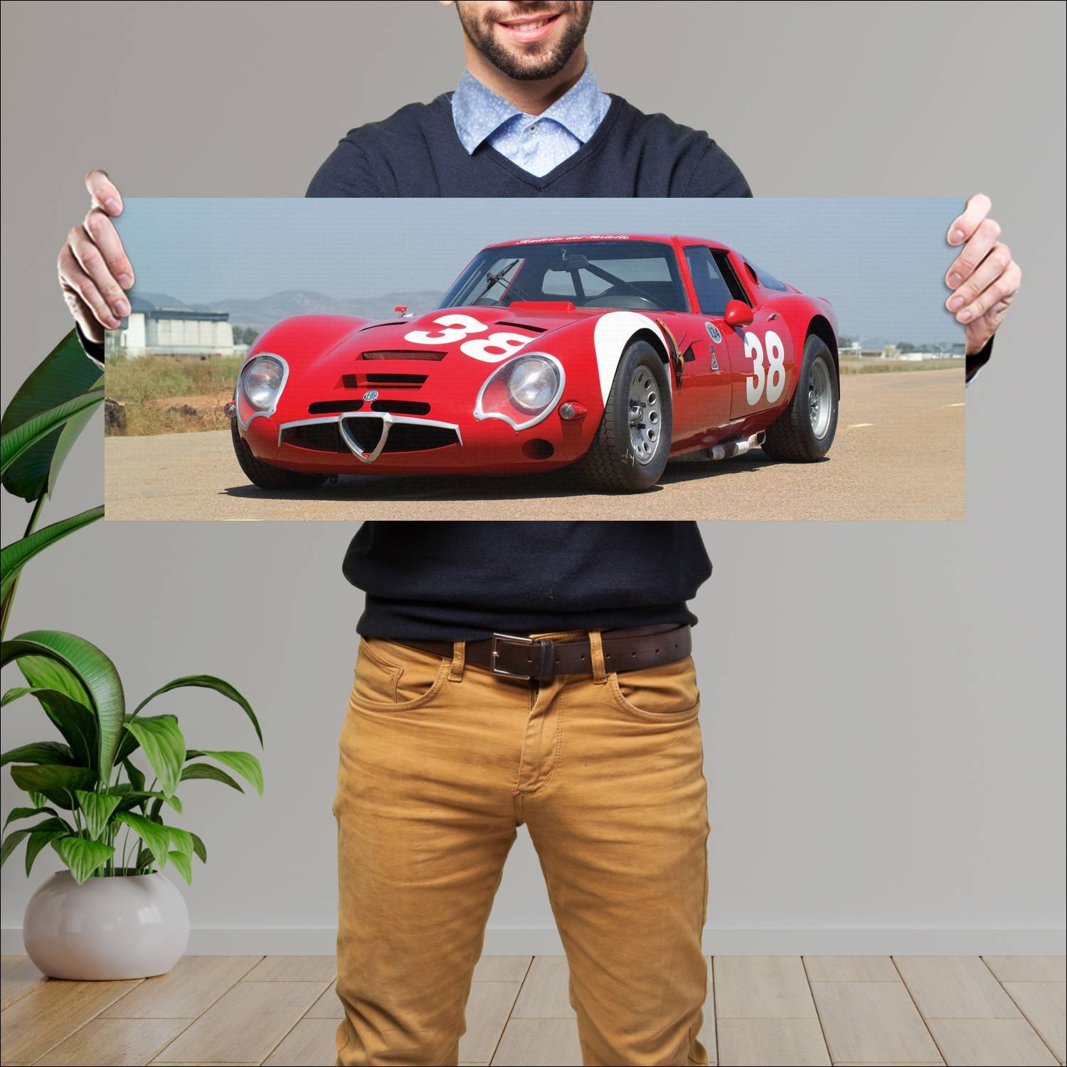 Cuadro grande 30x80cm 1966 alfa romeo giulia tz2 1 72 Alfa Romeo