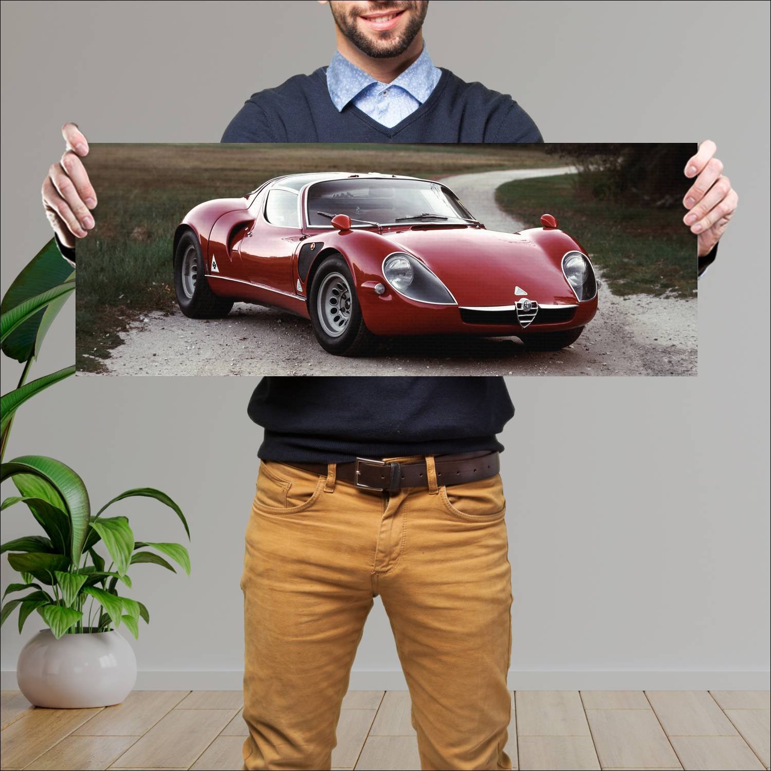 Cuadro grande 30x80cm 1967 alfa romeo tipo 33 stra 75 Alfa Romeo