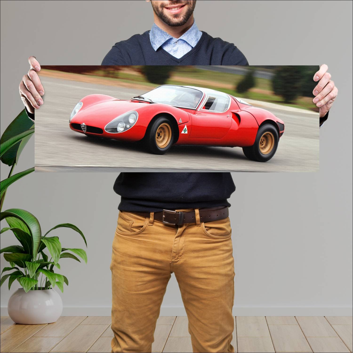 Cuadro grande 30x80cm 1967 alfa romeo tipo 33 stra 76 Alfa Romeo
