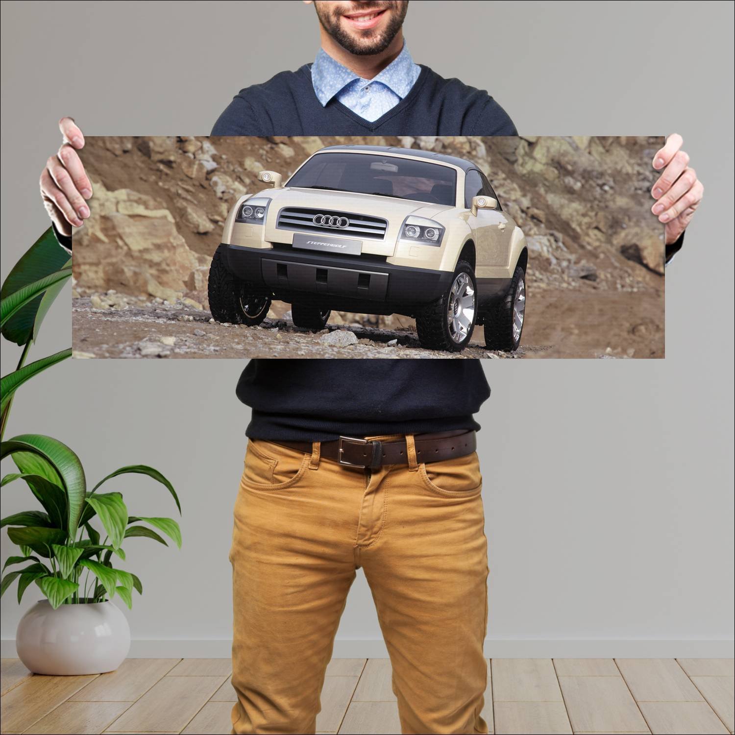 Cuadro grande 30x80cm 2000 audi steppenwolf auto 97 Audi