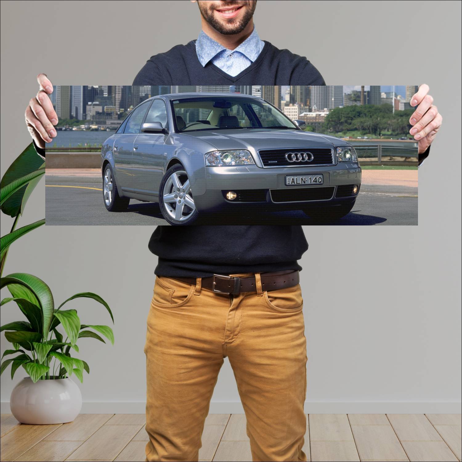 Cuadro grande 30x80cm 2002 audi a6 sedan au auto 120 Audi
