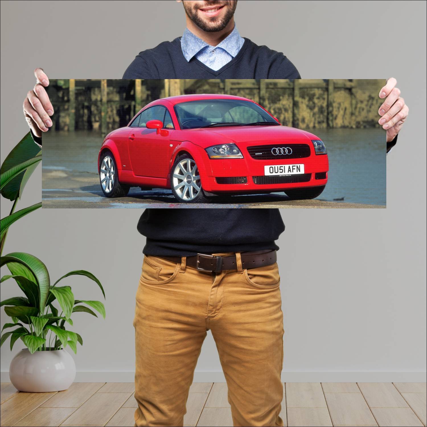 Cuadro grande 30x80cm 2002 audi tt coupe limited e 126 Audi