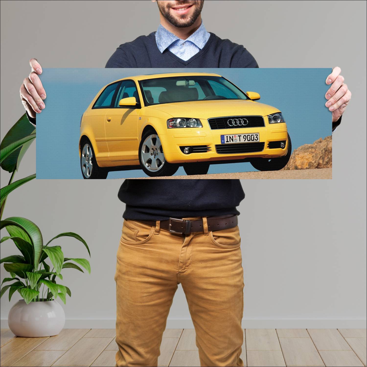 Cuadro grande 30x80cm 2003 audi a3 auto 128 Audi