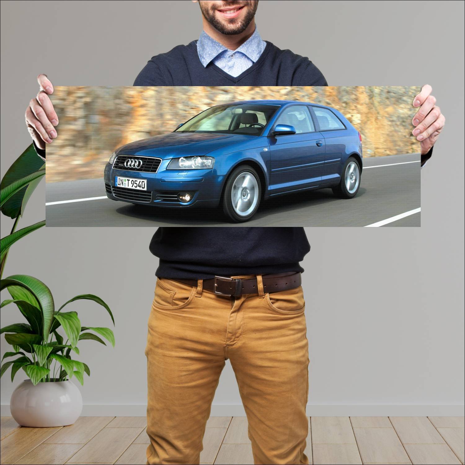 Cuadro grande 30x80cm 2003 audi a3 auto 129 Audi