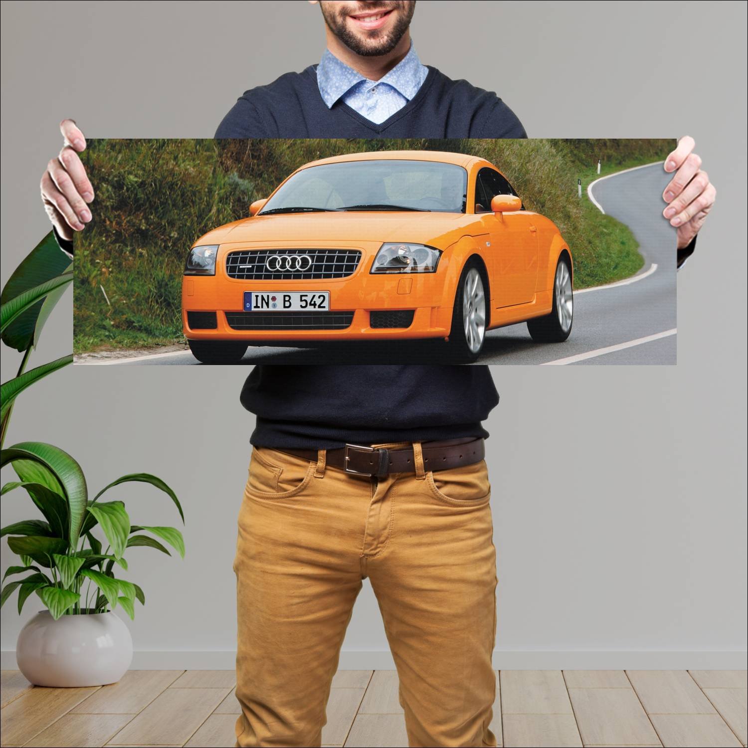 Cuadro grande 30x80cm 2003 audi tt coupe auto 140 Audi