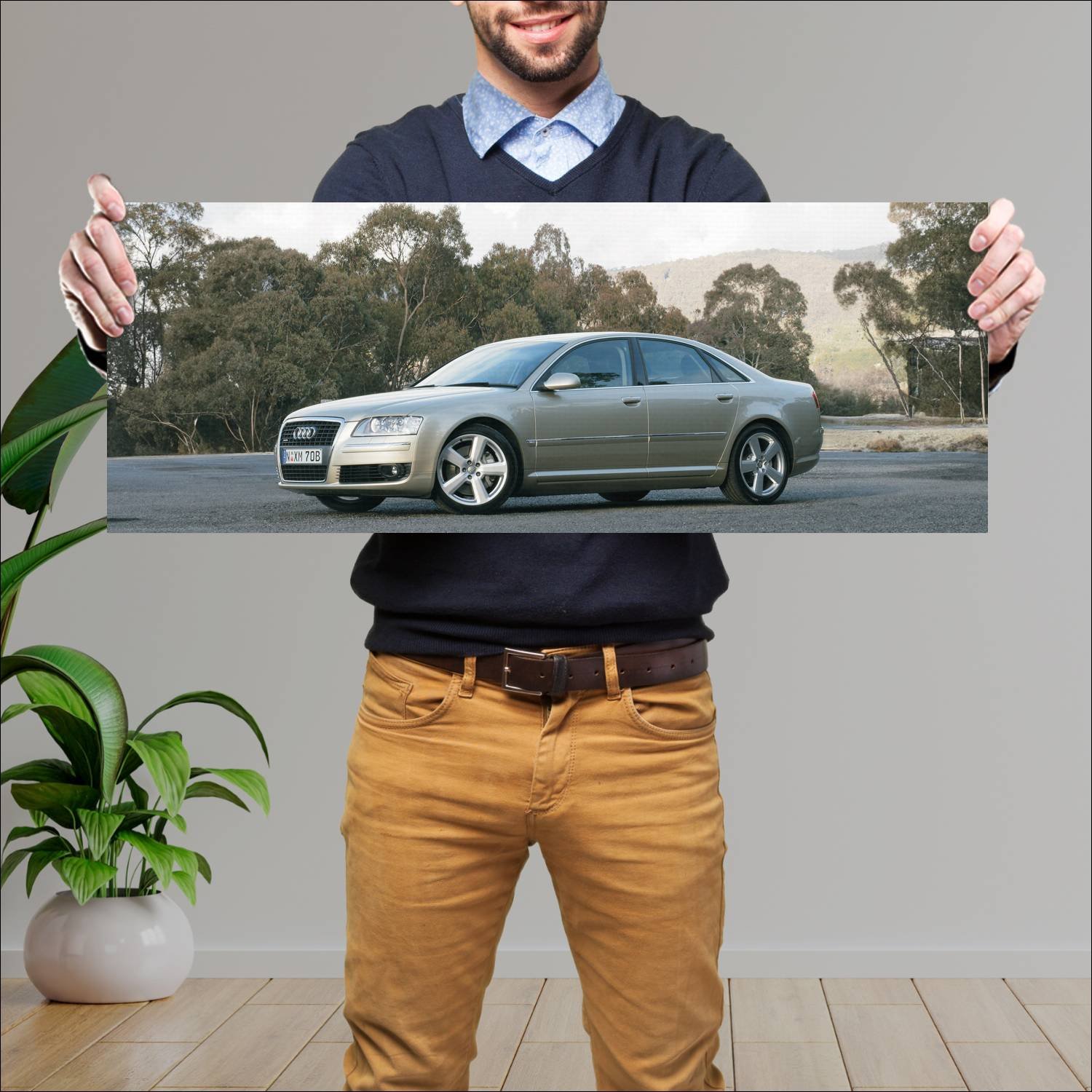 Cuadro grande 30x80cm 2005 audi a8 au auto 198 Audi