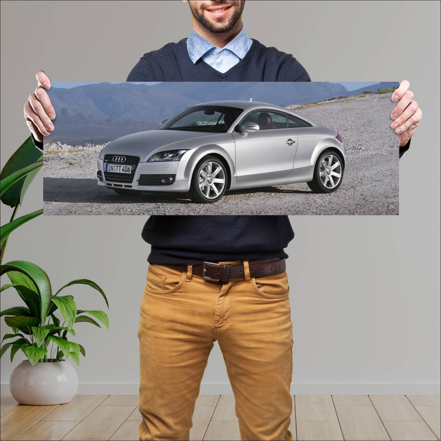 Cuadro grande 30x80cm 2006 audi tt coupe auto 259 Audi