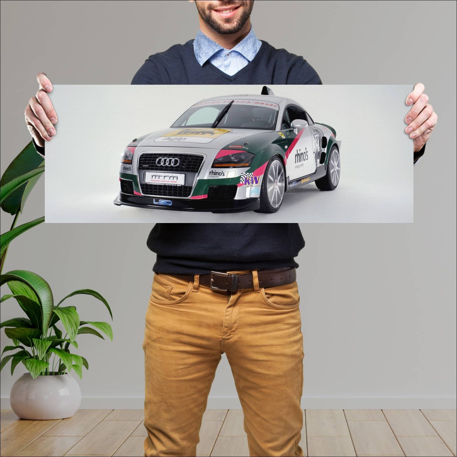 Cuadro grande 30x80cm 2007 audi tt bimoto record c 305 Audi