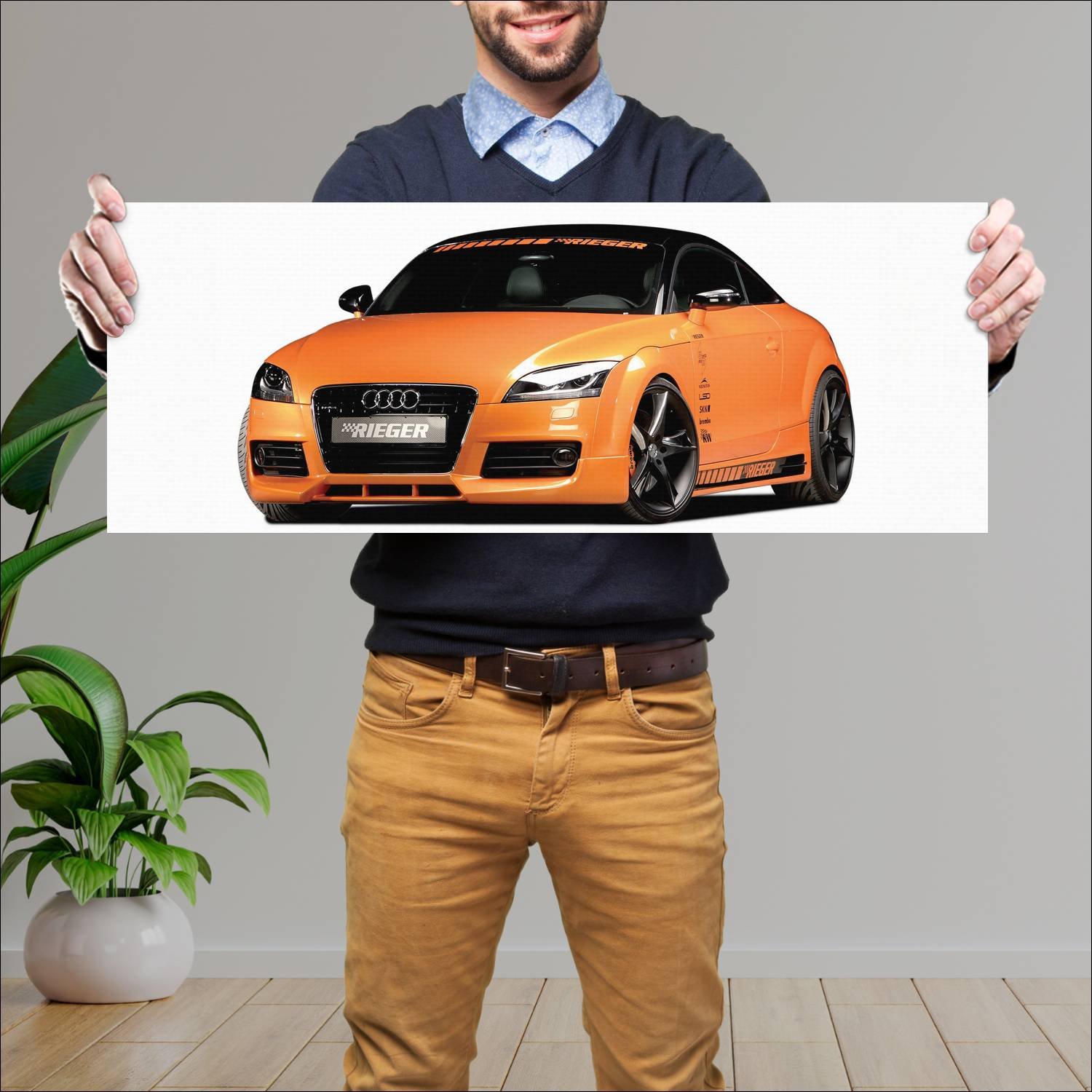 Cuadro grande 30x80cm 2007 audi tt coupe by rieger 309 Audi