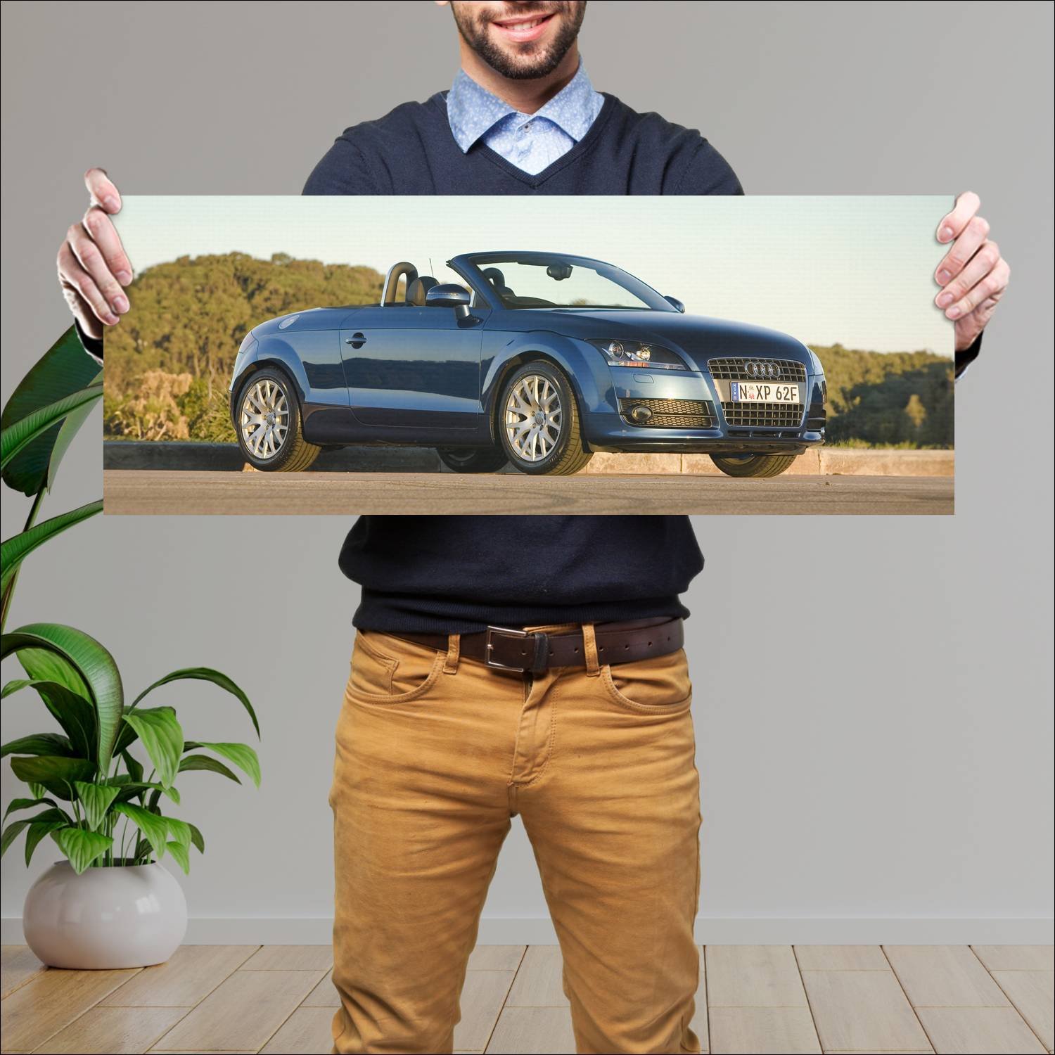 Cuadro grande 30x80cm 2007 audi tt roadster au 866 314 Audi