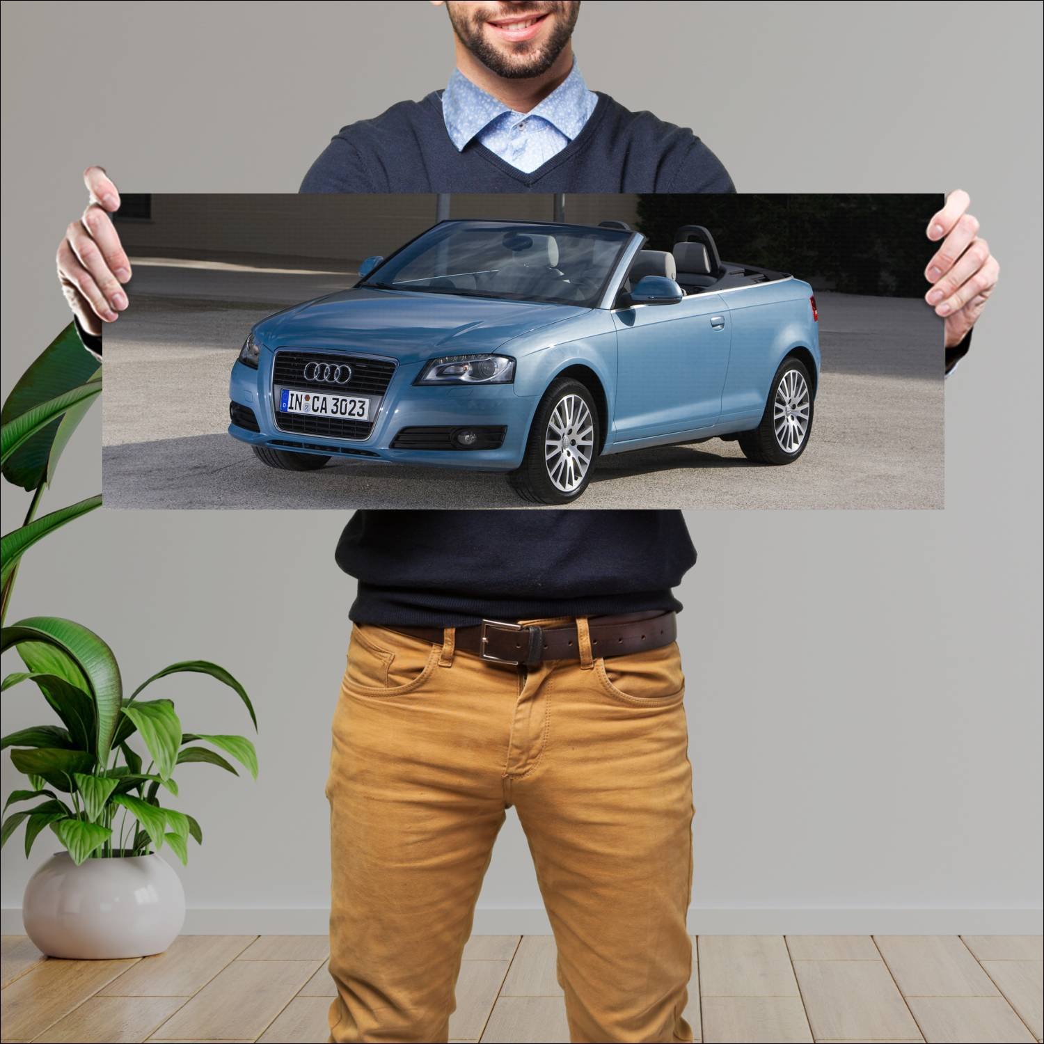 Cuadro grande 30x80cm 2008 audi a3 cabriolet auto 321 Audi