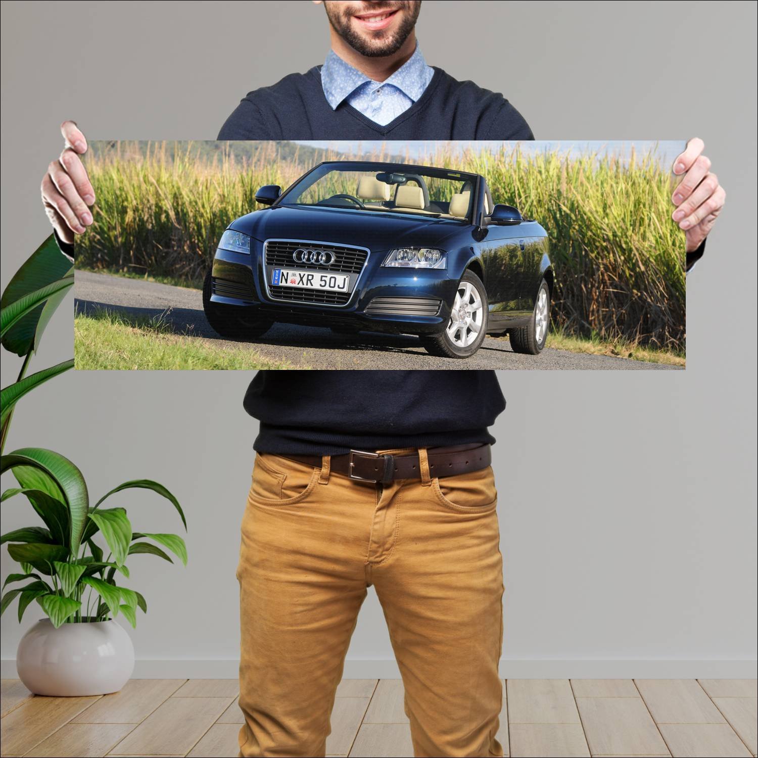 Cuadro grande 30x80cm 2008 audi a3 cabriolet au 85 323 Audi