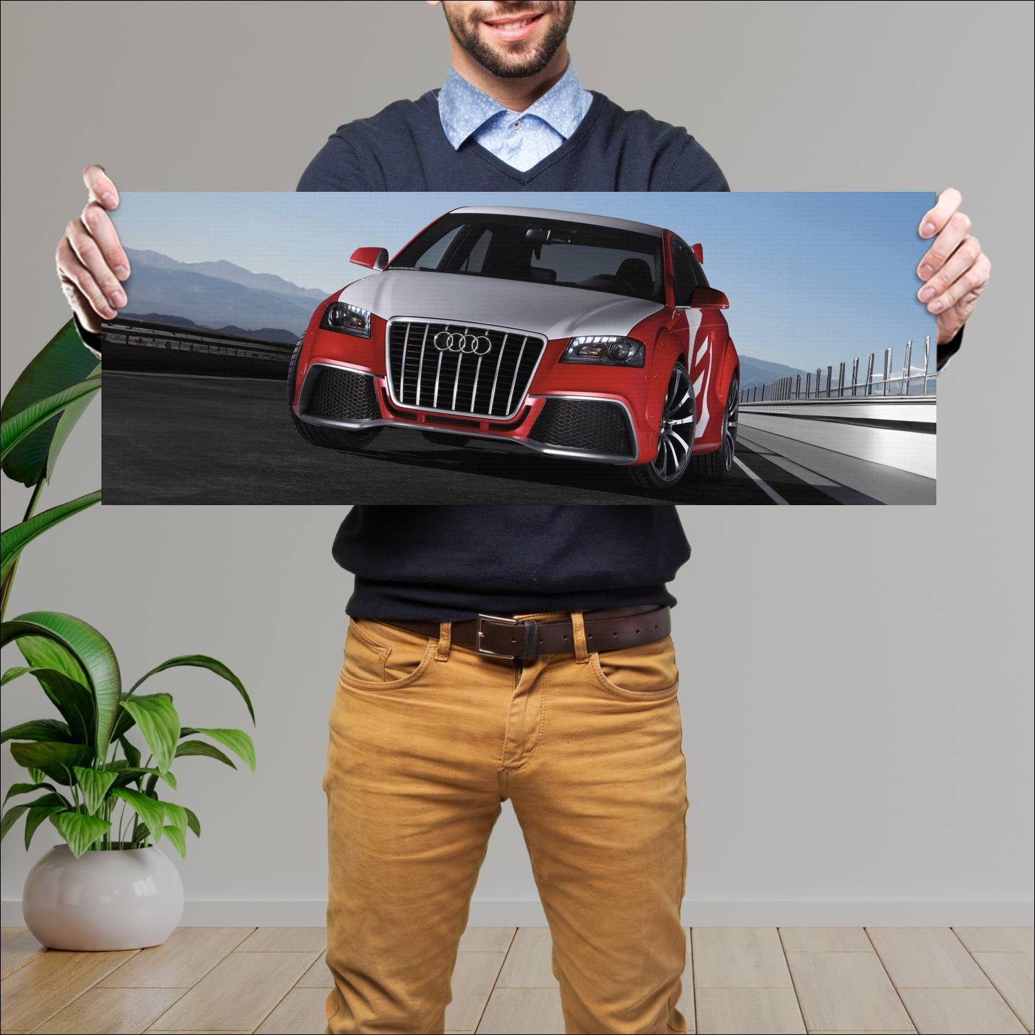 Cuadro grande 30x80cm 2008 audi a3 tdi clubsport q 337 Audi