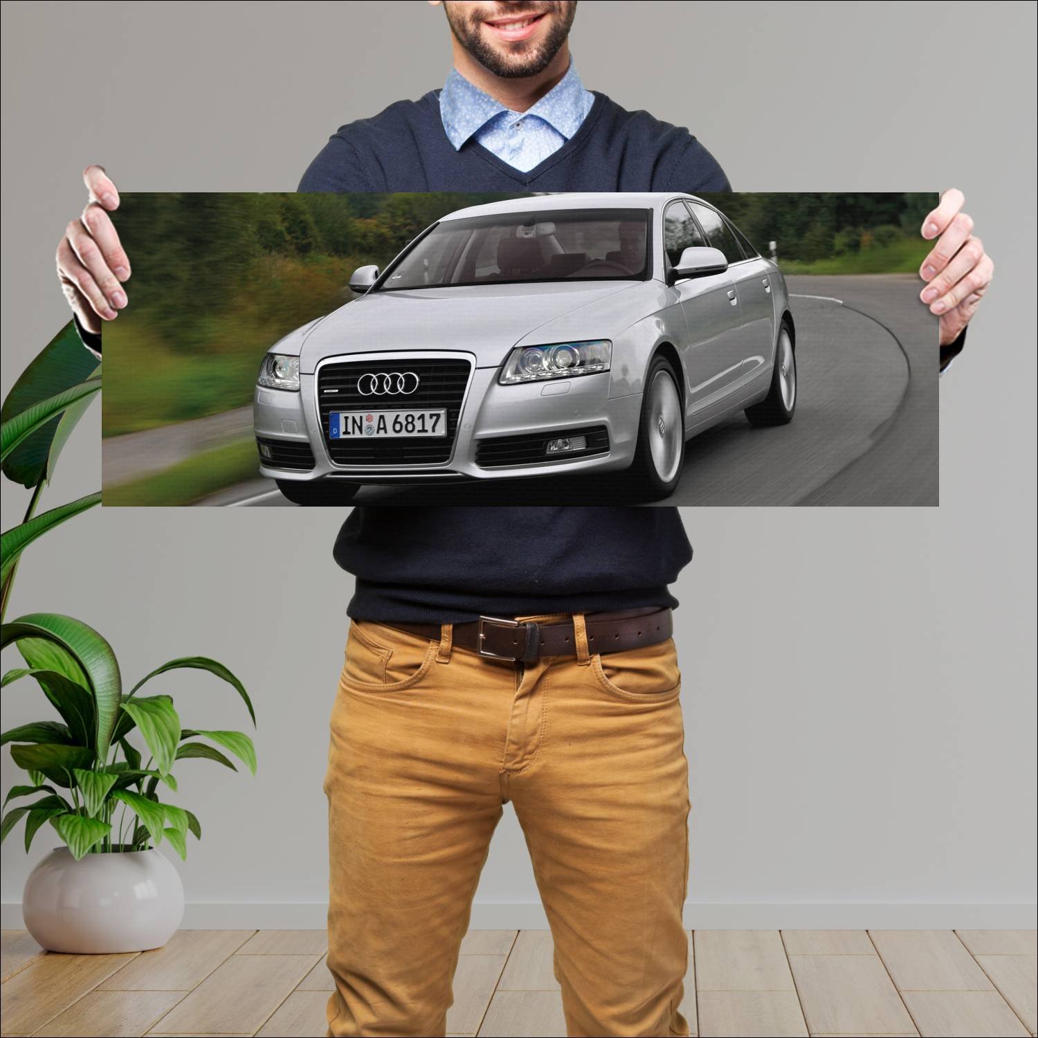 Cuadro grande 30x80cm 2008 audi a6 sedan auto 361 Audi