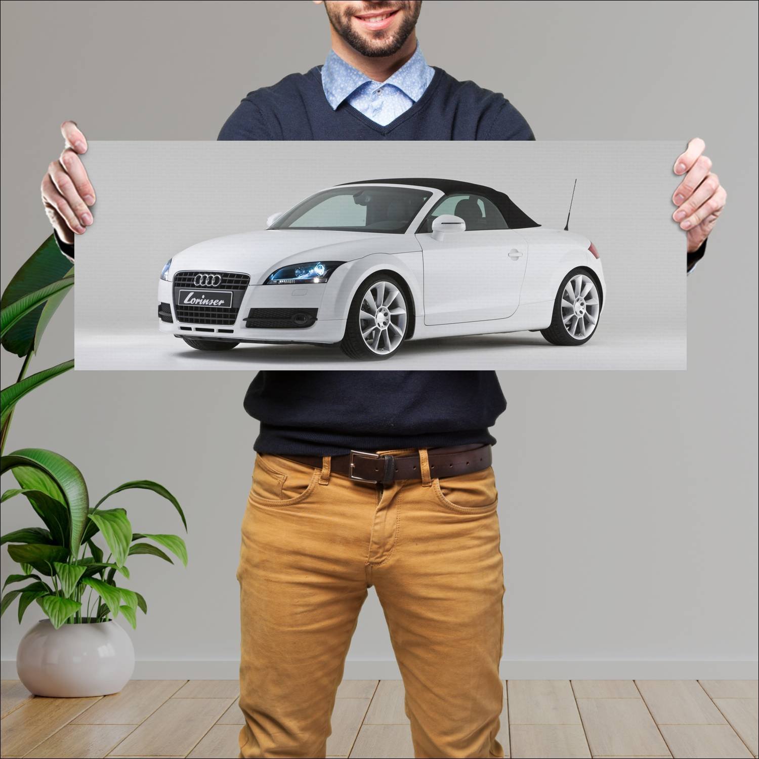Cuadro grande 30x80cm 2008 audi tt roadster by lor 415 Audi