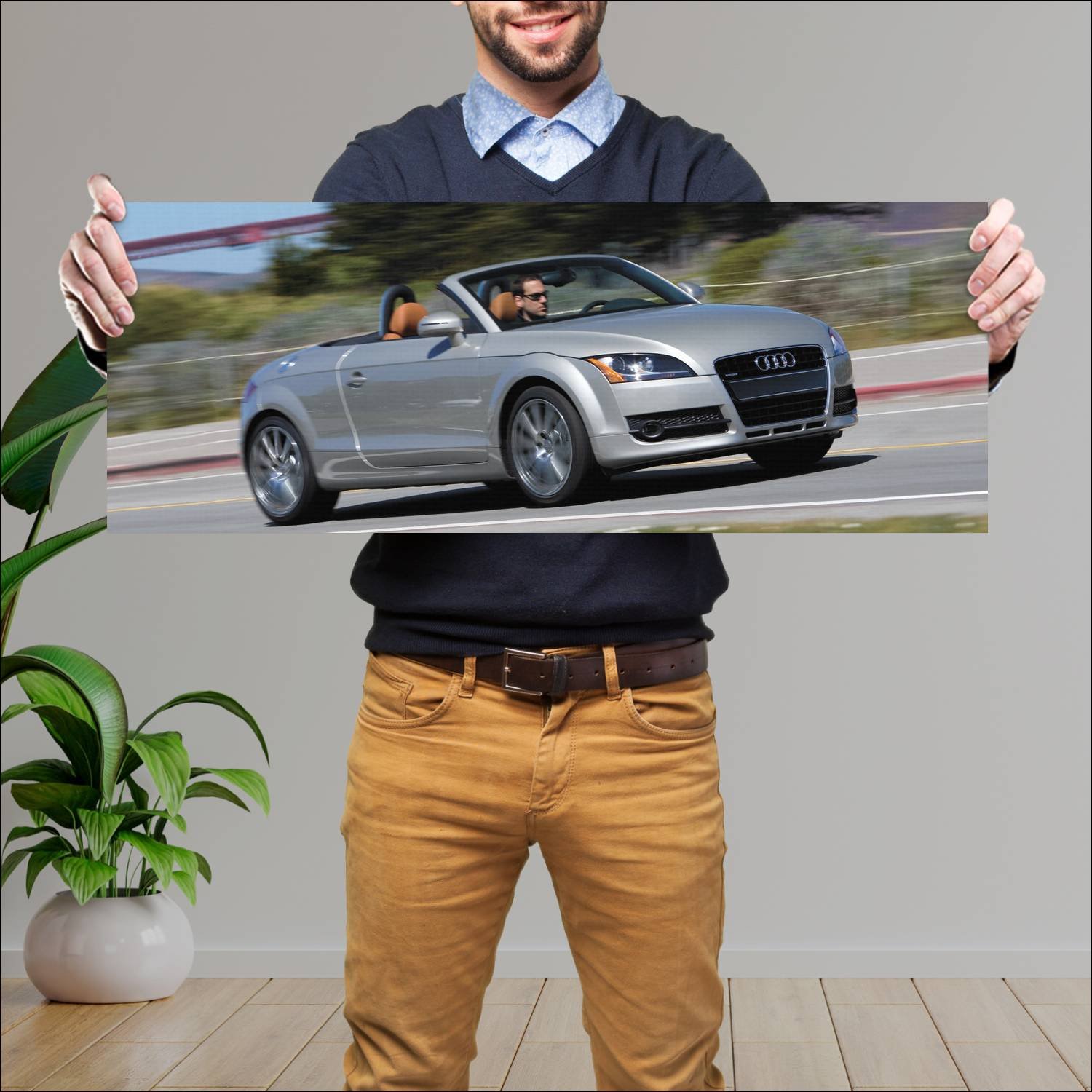 Cuadro grande 30x80cm 2008 audi tt roadster us 866 417 Audi