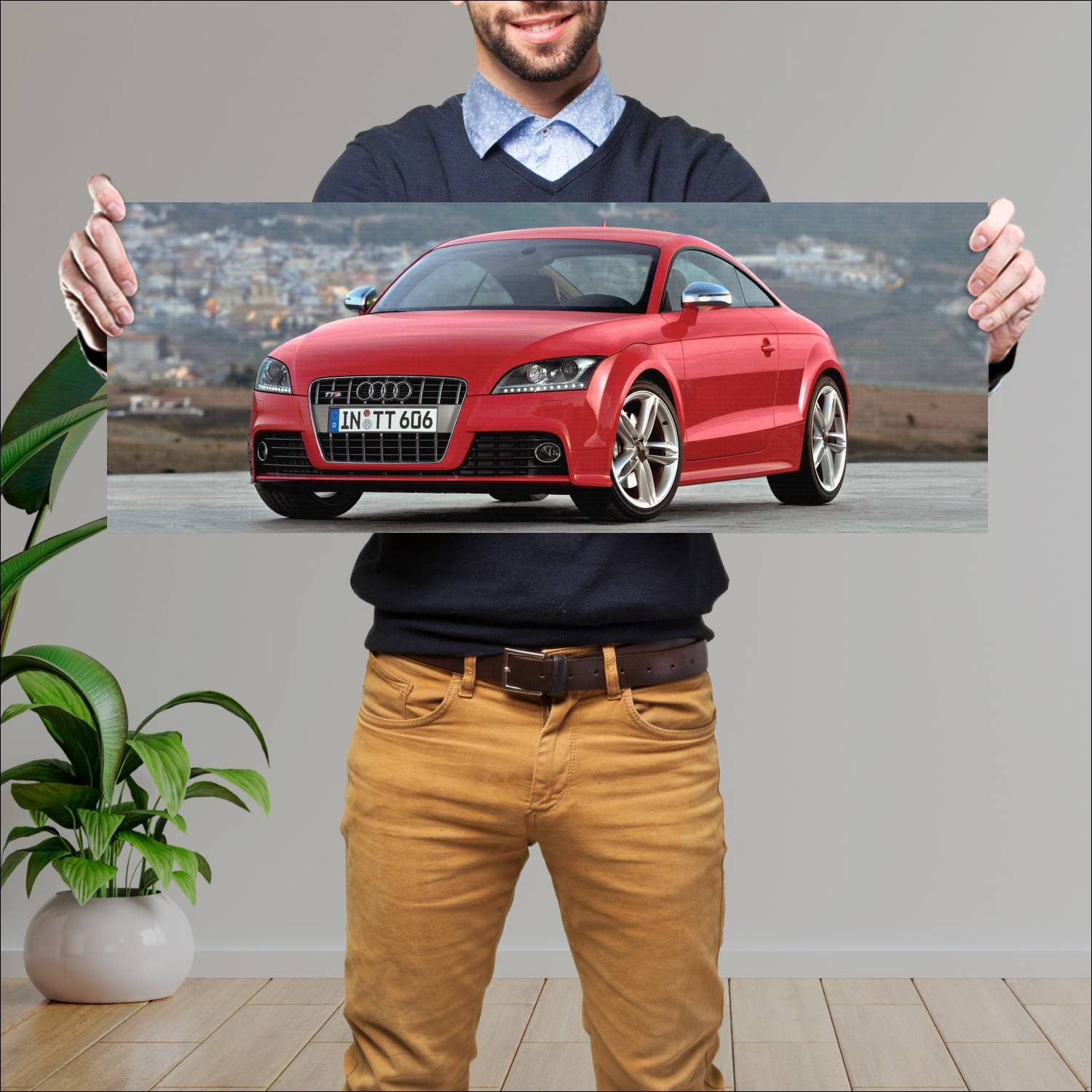 Cuadro grande 30x80cm 2008 audi tts coupe auto 418 Audi