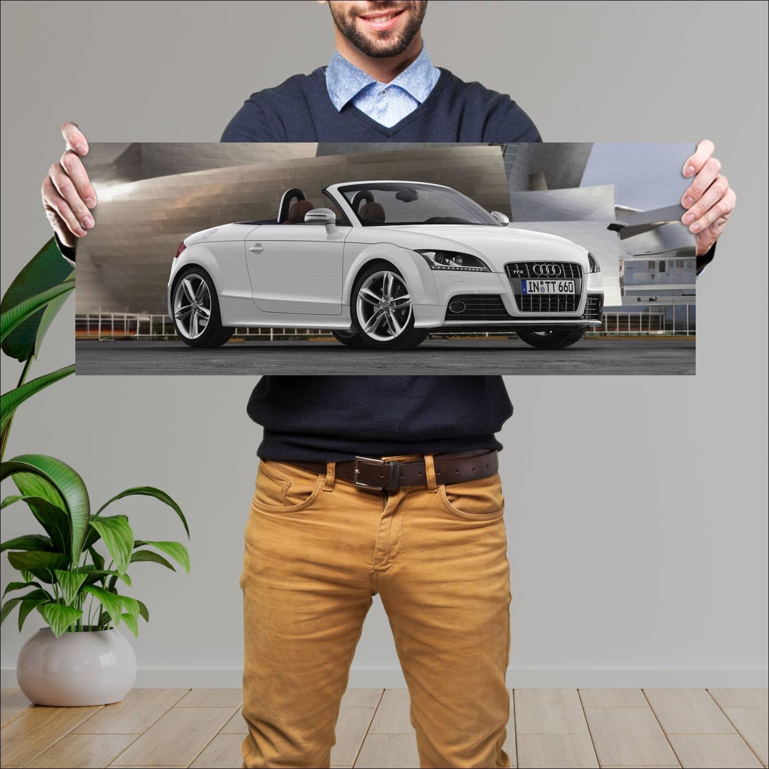 Cuadro grande 30x80cm 2008 audi tts roadster auto 420 Audi