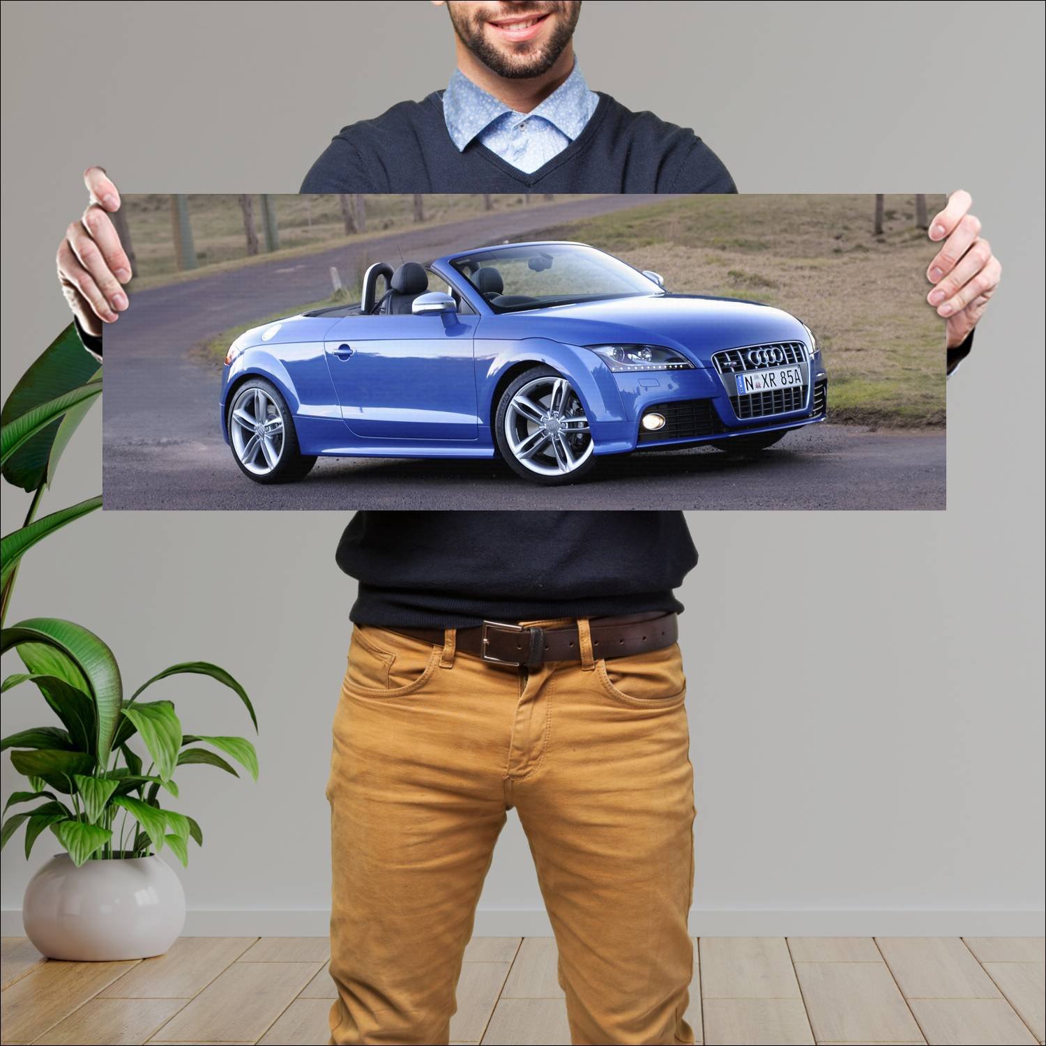 Cuadro grande 30x80cm 2008 audi tts roadster au 86 422 Audi