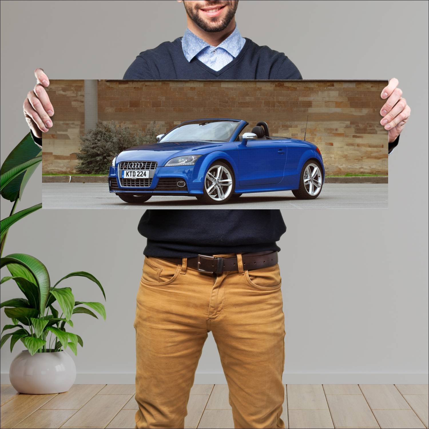 Cuadro grande 30x80cm 2008 audi tts roadster uk 28 423 Audi