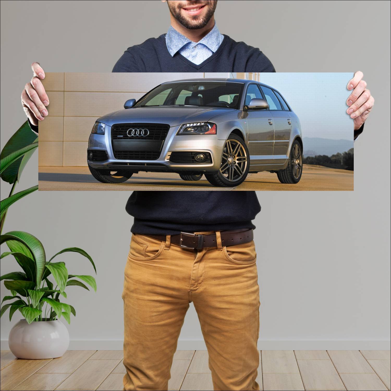 Cuadro grande 30x80cm 2009 audi a3 sportback s lin 431 Audi