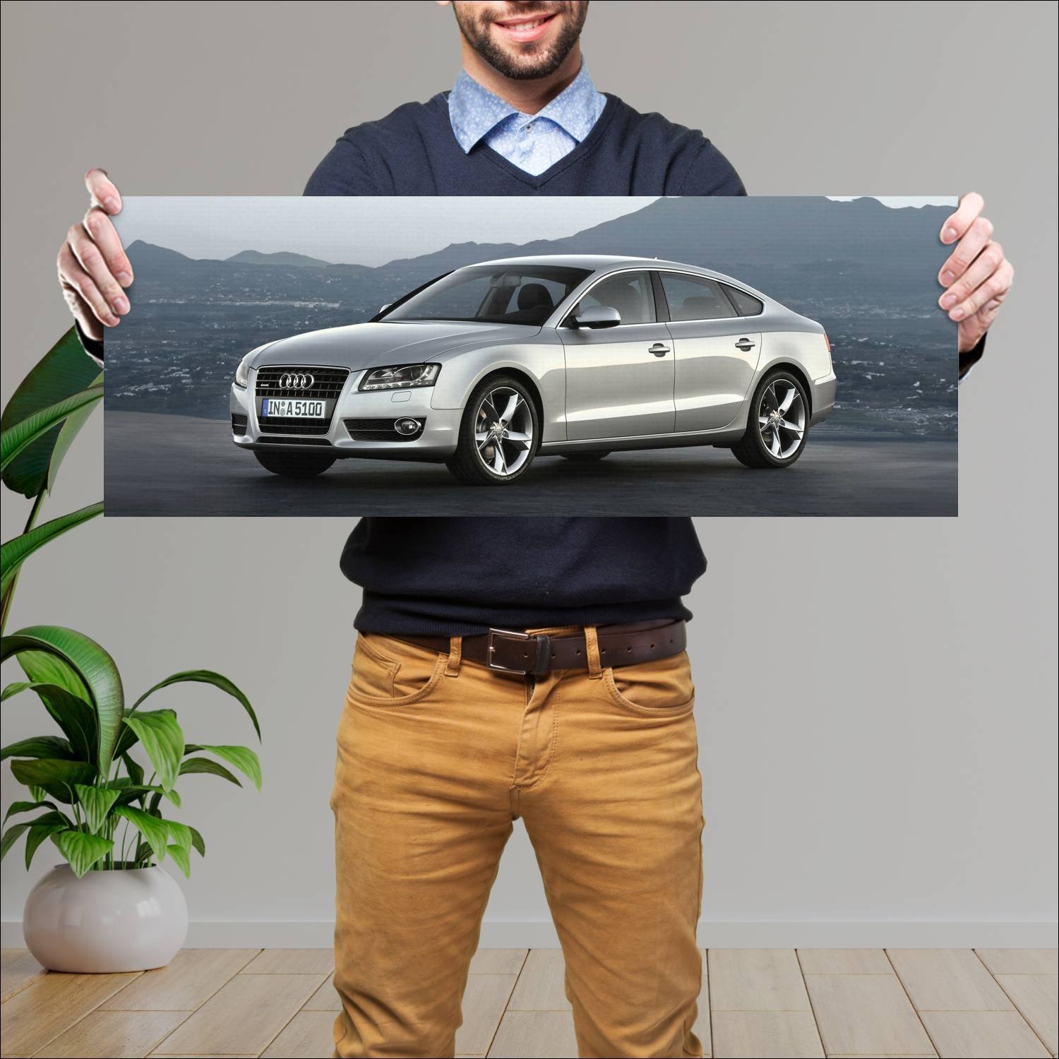 Cuadro grande 30x80cm 2009 audi a5 sportback auto 443 Audi