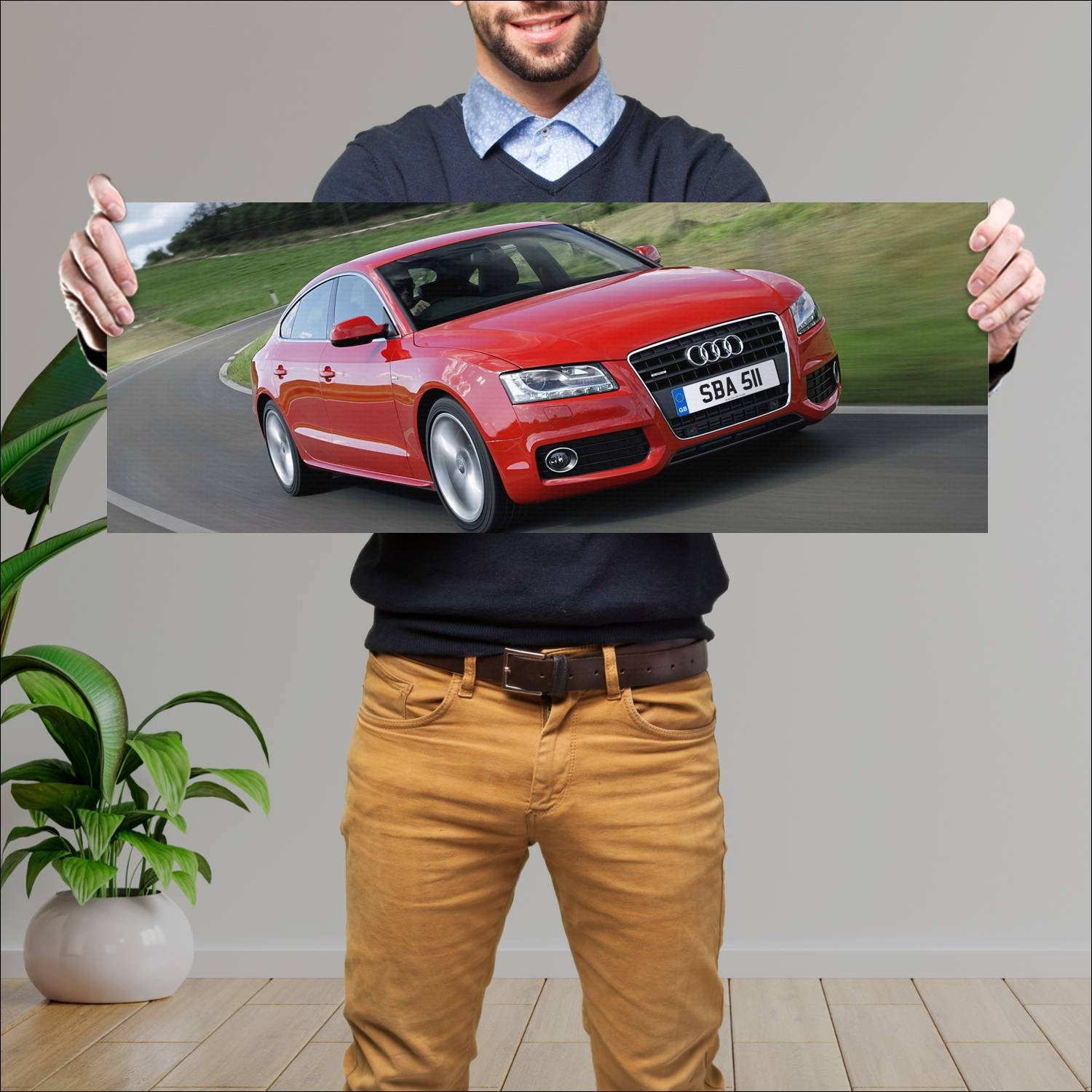 Cuadro grande 30x80cm 2009 audi a5 sportback s lin 445 Audi