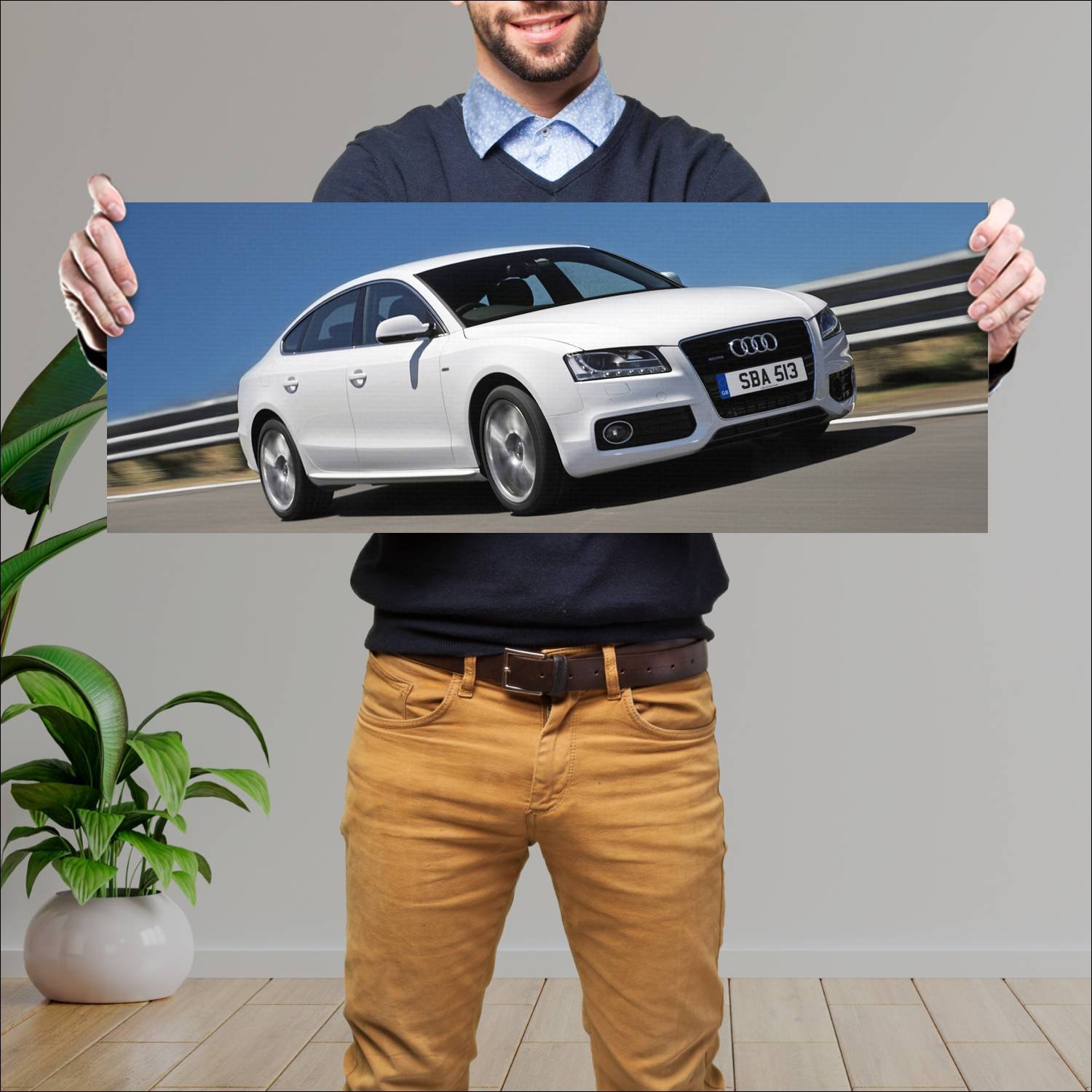 Cuadro grande 30x80cm 2009 audi a5 sportback s lin 446 Audi