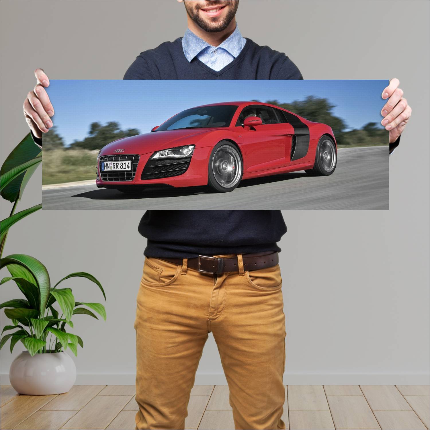 Cuadro grande 30x80cm 2009 audi r8 v10 coupe auto 473 Audi